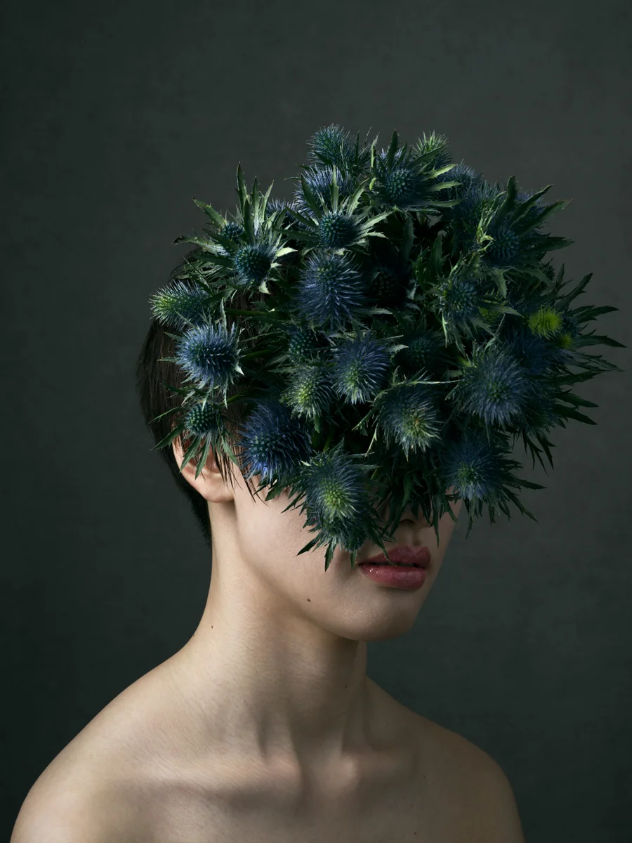 Jardin Secret~秘密の庭~ 秘めた思い (Concealed feelings) Flower : Eryngium (エリンジューム)