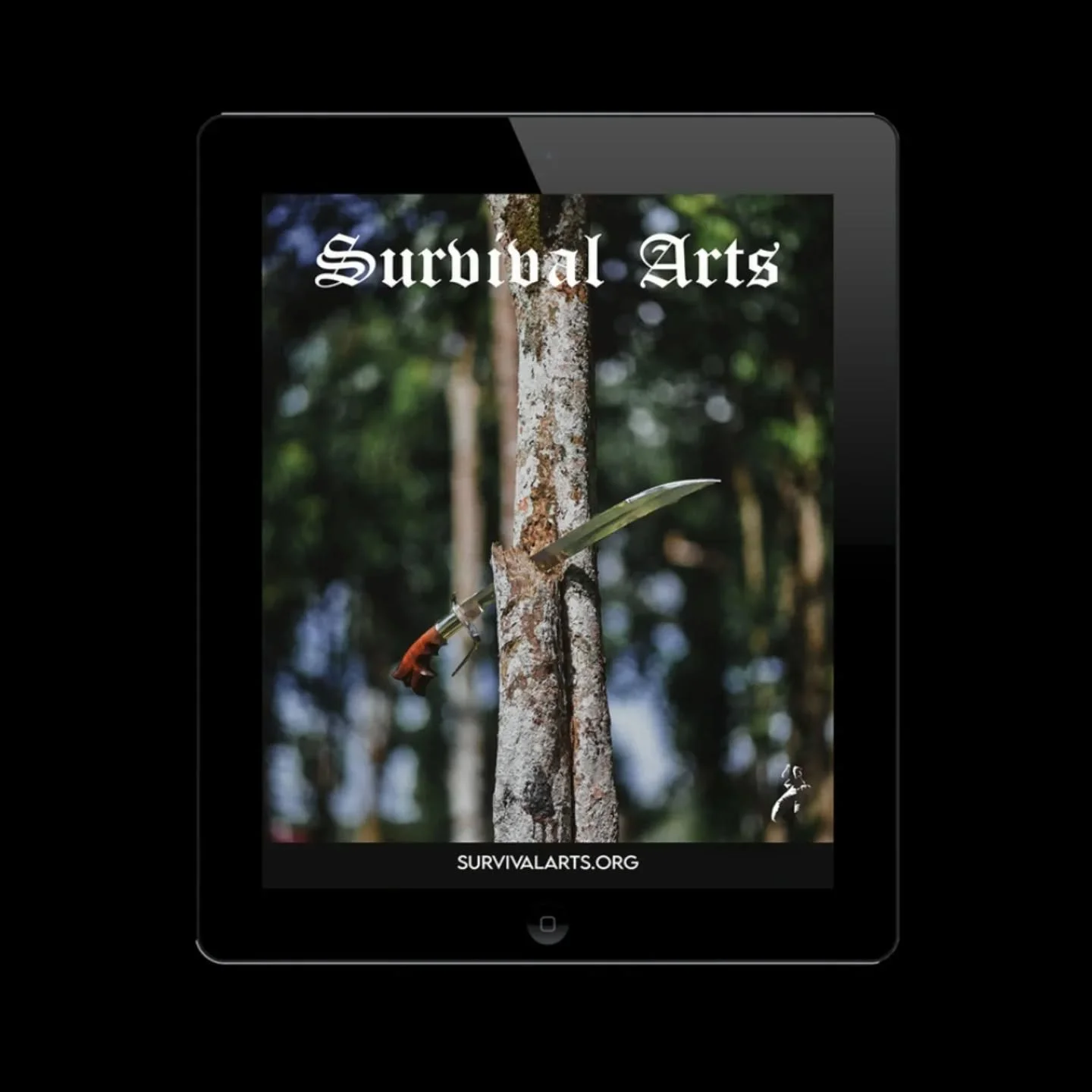 To Counter Violence and Protect The Children, we are called to gather for ᜃᜎᜒ KALI Blade Training in solidarity and resistance through #pilipinafightingarts movement &amp; flow 🗡️🌊 

We meet Saturdays monthly in a virtual zoom space to support each