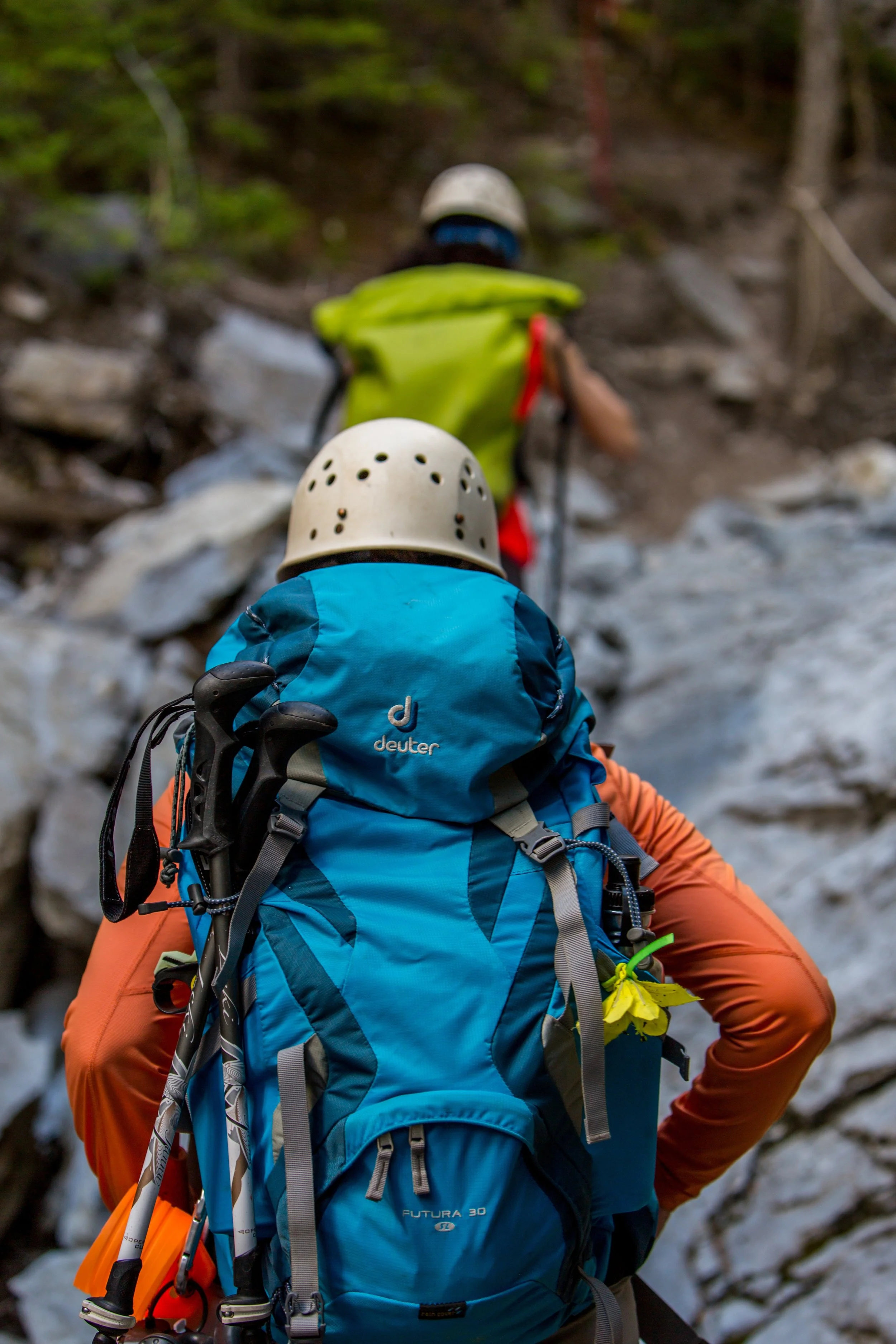 active-activity-adventure-532803.jpg