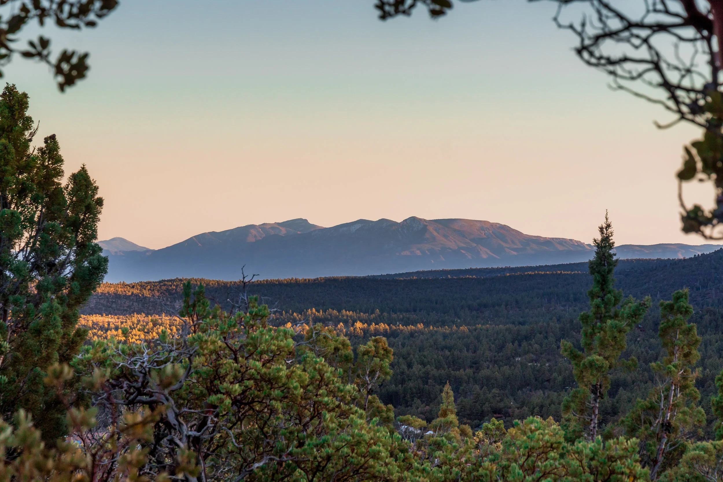 Mountains thru Treehole.jpg