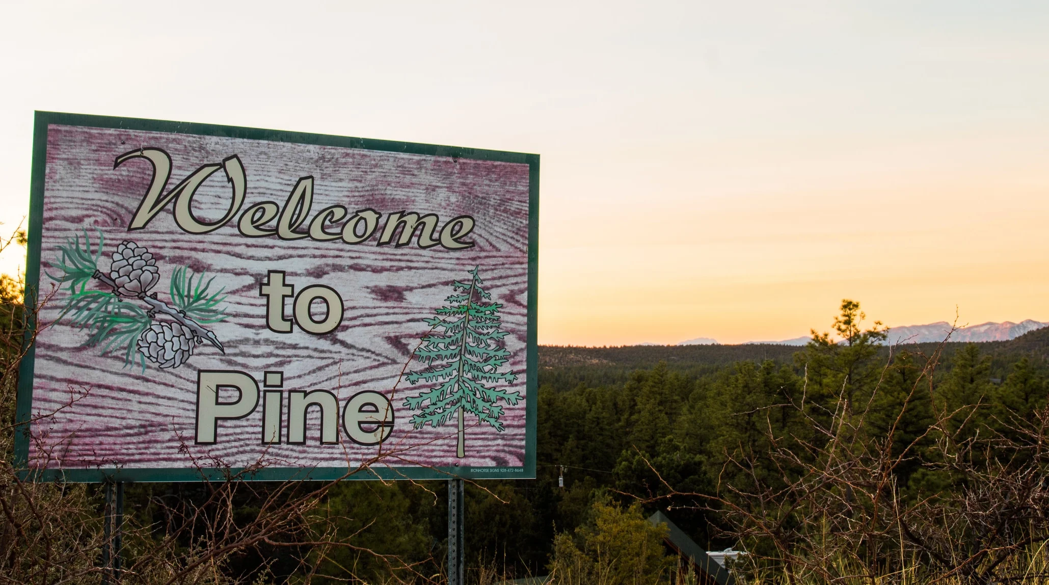 Pine Sign.jpg
