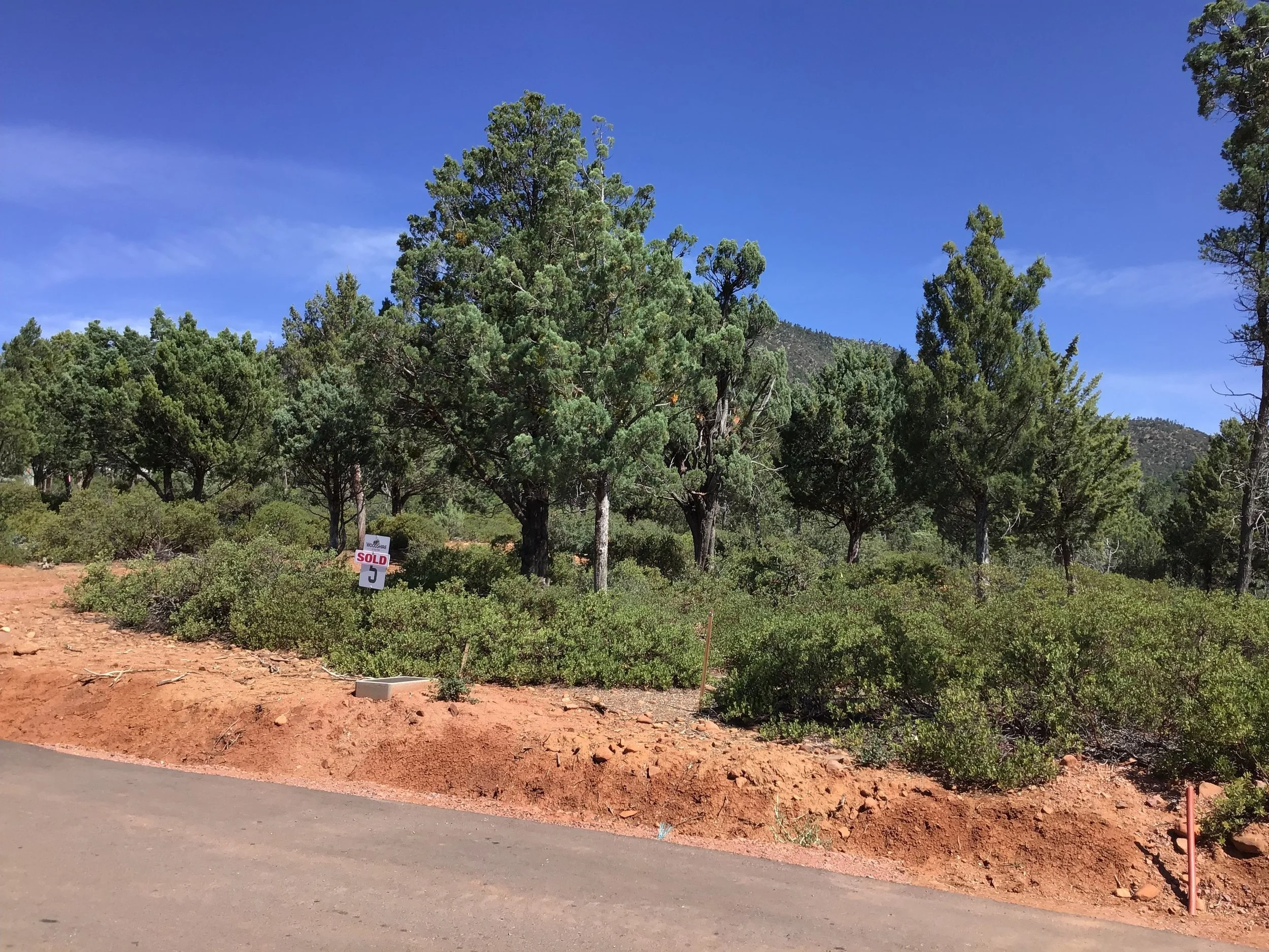 Lot 5 Ready for Juniper.jpg