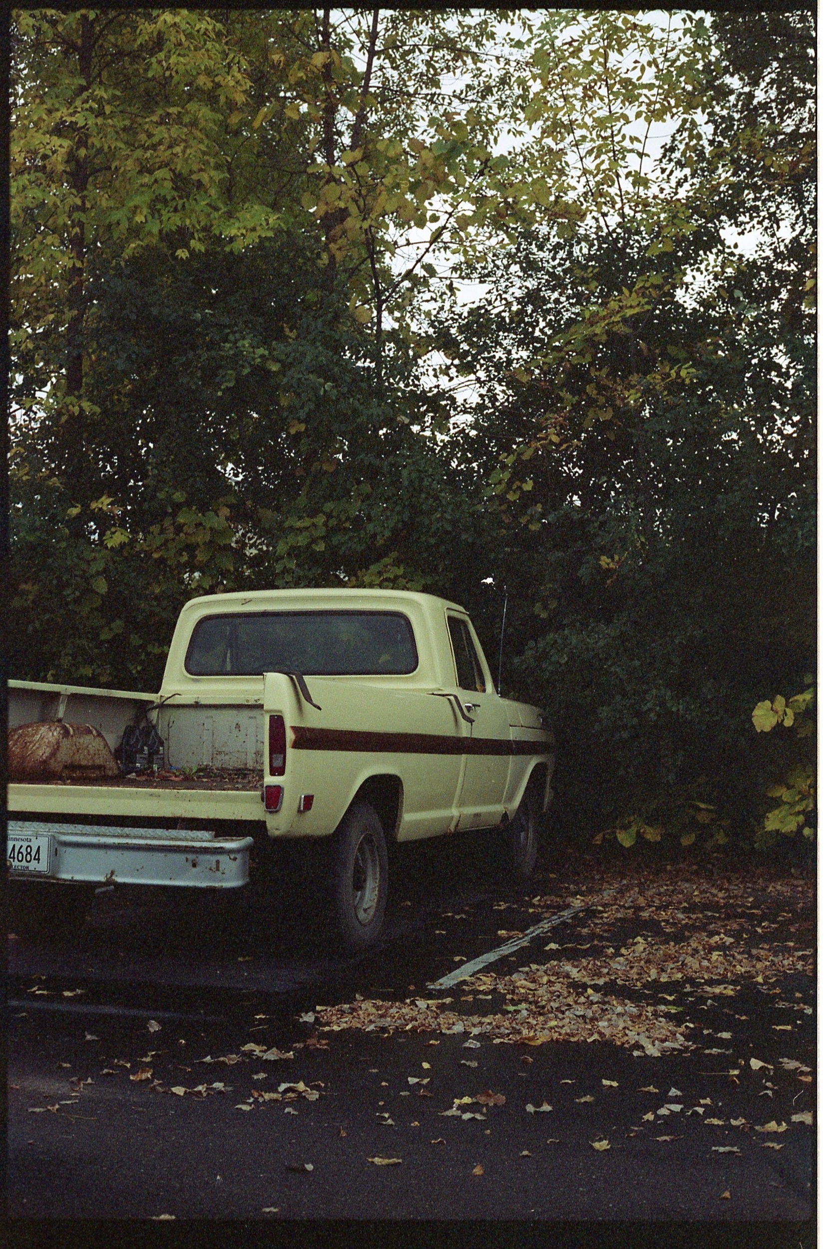 CanonPowerShot036.jpg