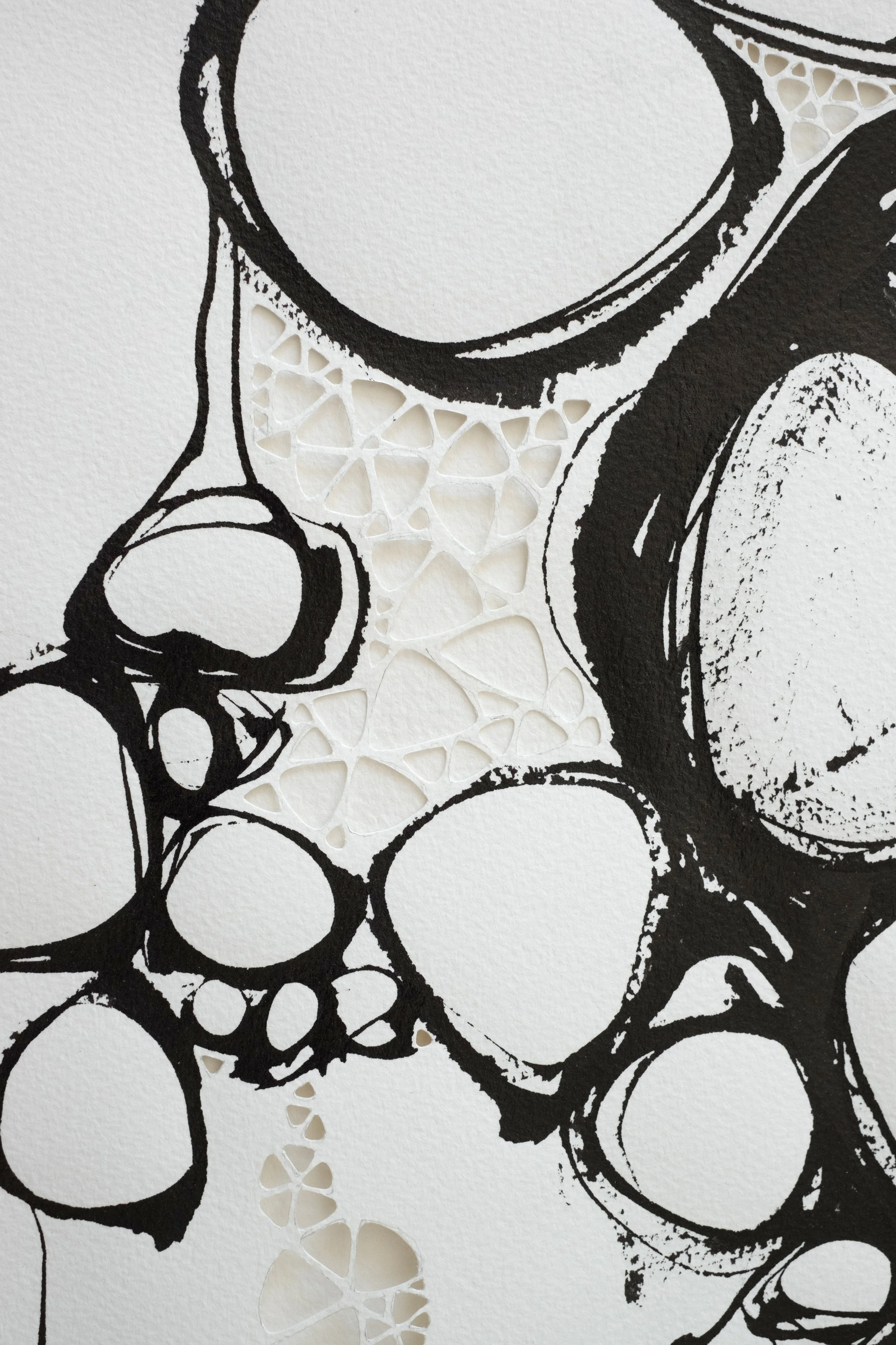 contraction_detail01.jpg