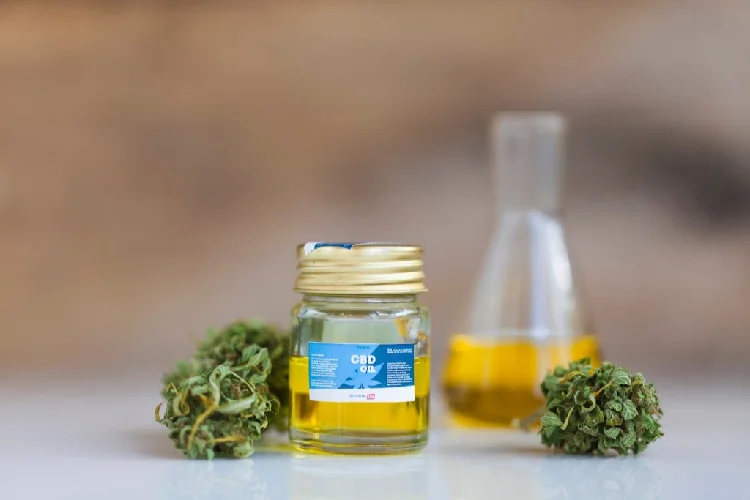 Why Terpenes Matter When Picking a Strain: buds around cbd oil
