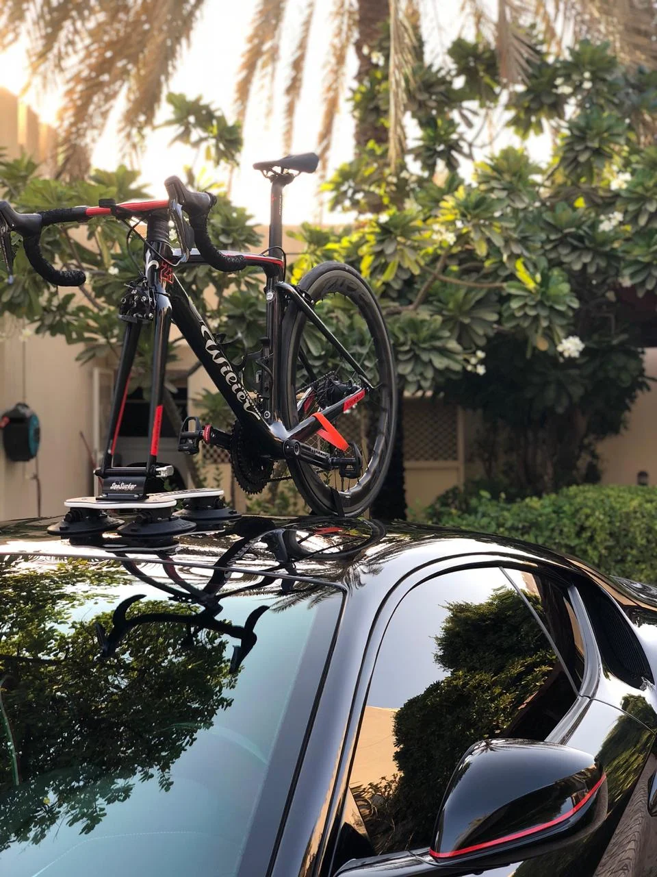 Bike service in Abu Dhabi - Wilier cento 10air