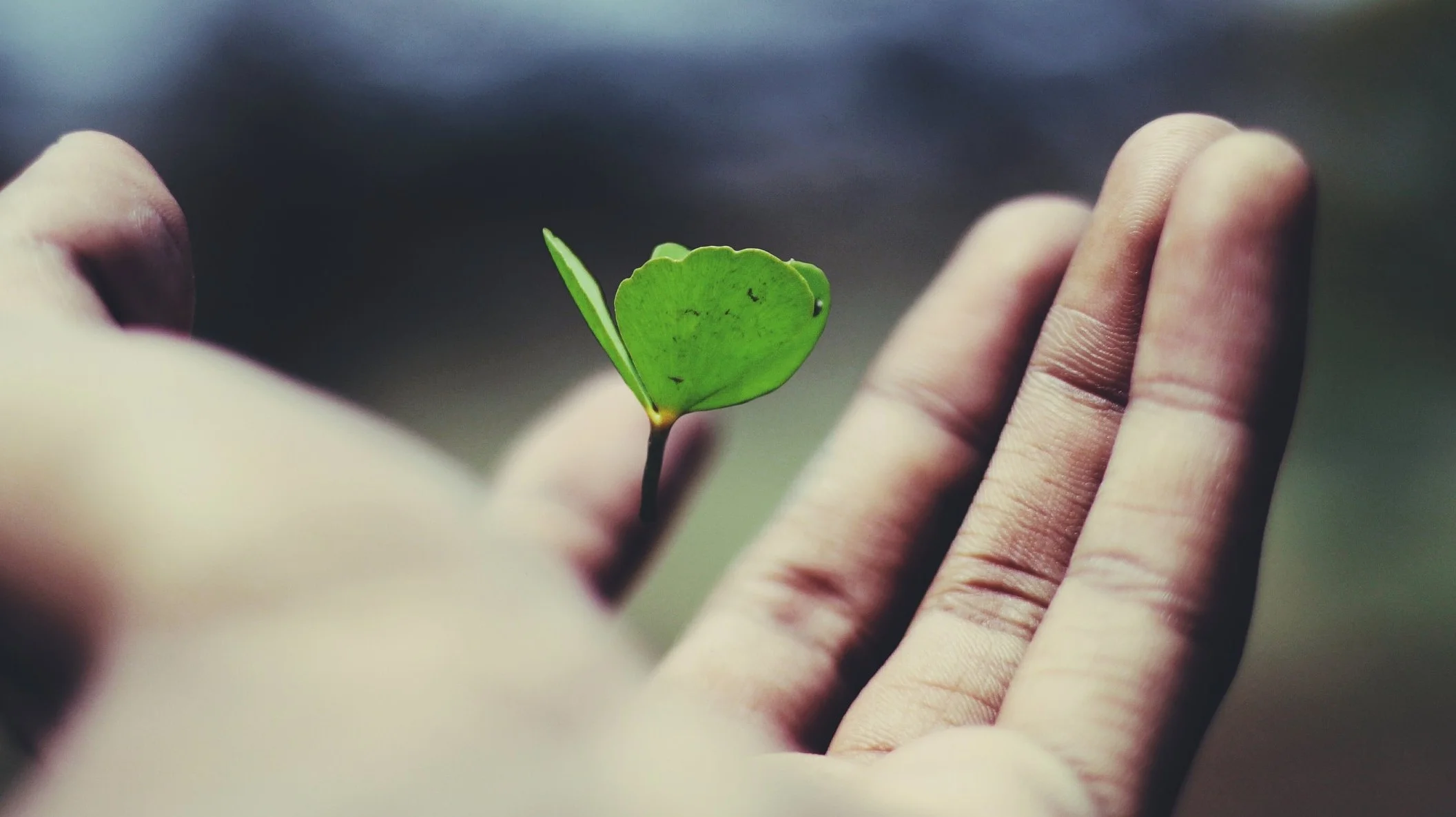 Photo by Ravi Roshan on Unsplash