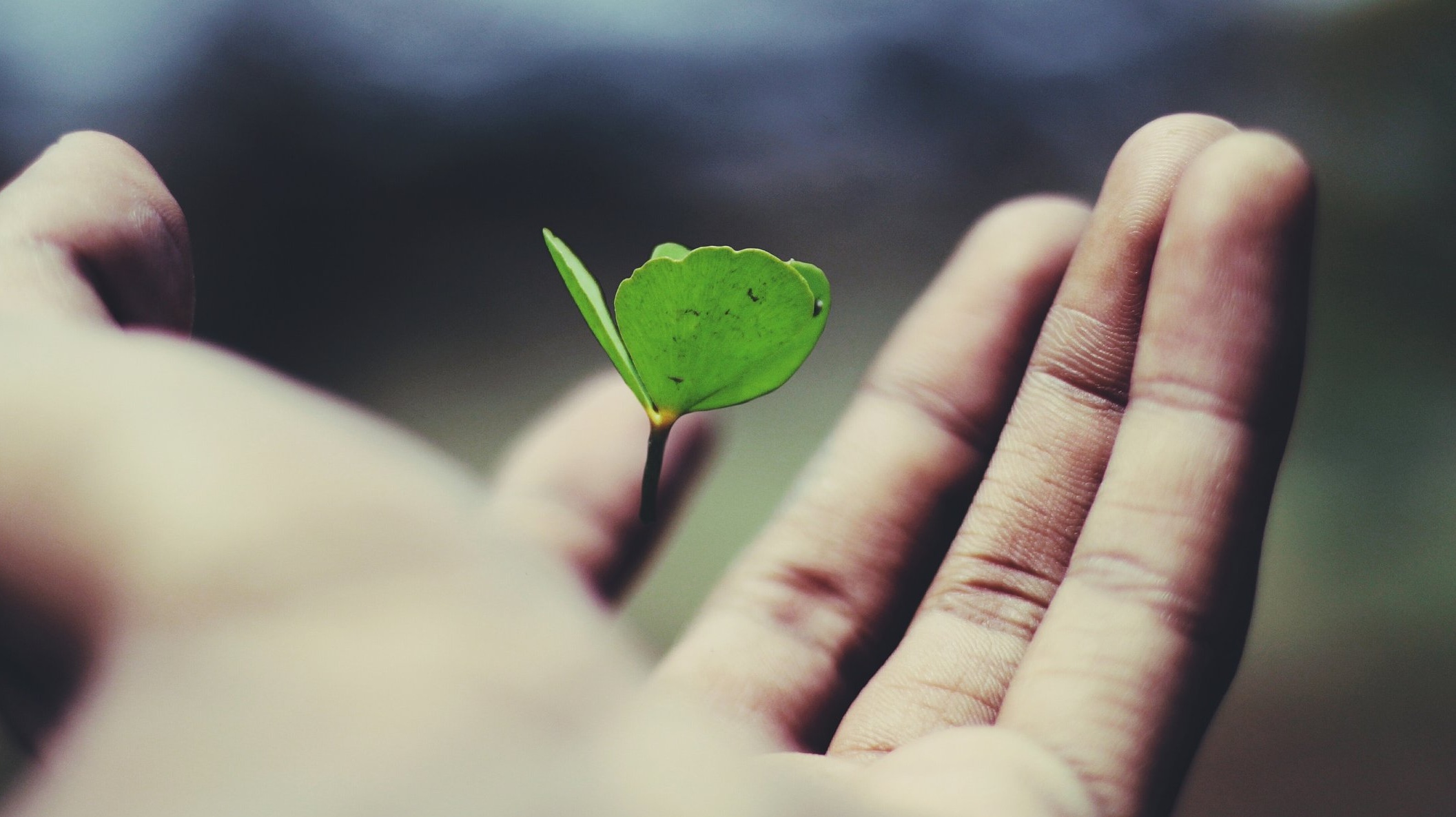 Photo by Ravi Roshan on Unsplash