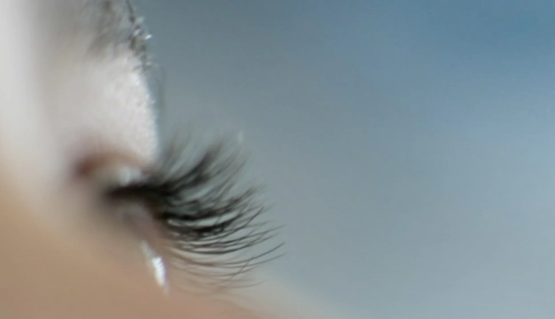 Home Image_Starship.jpg