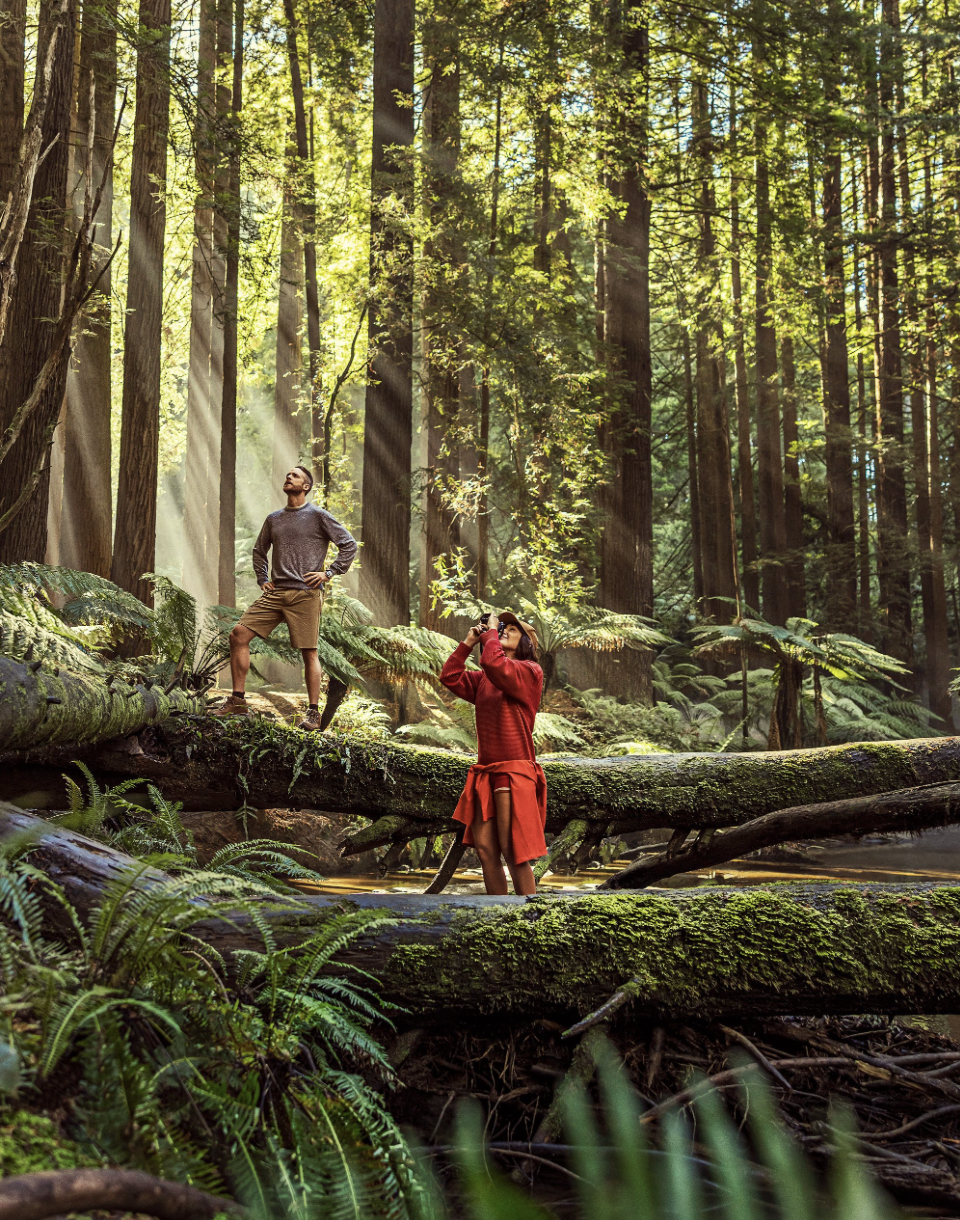 Screenshot 2025-05-29 at 6.01.52 pm.png