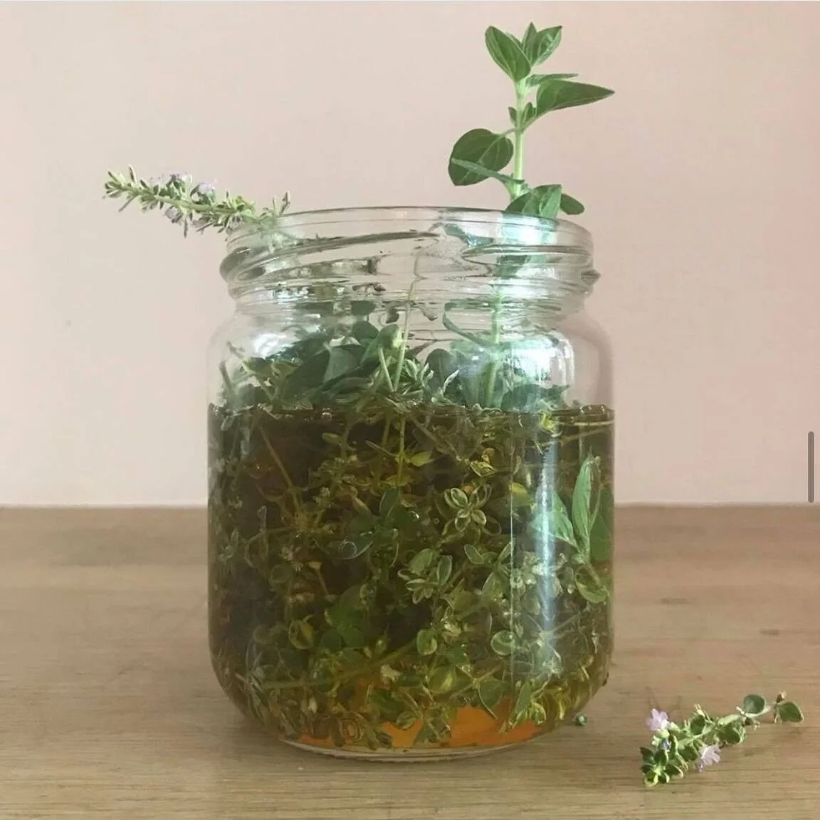 Thyme & Oregano
