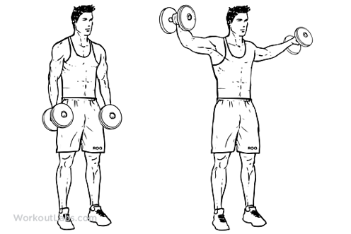 lateral+raises.png
