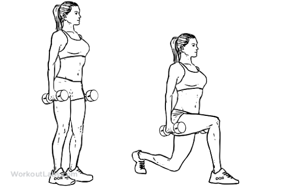 lunge.png