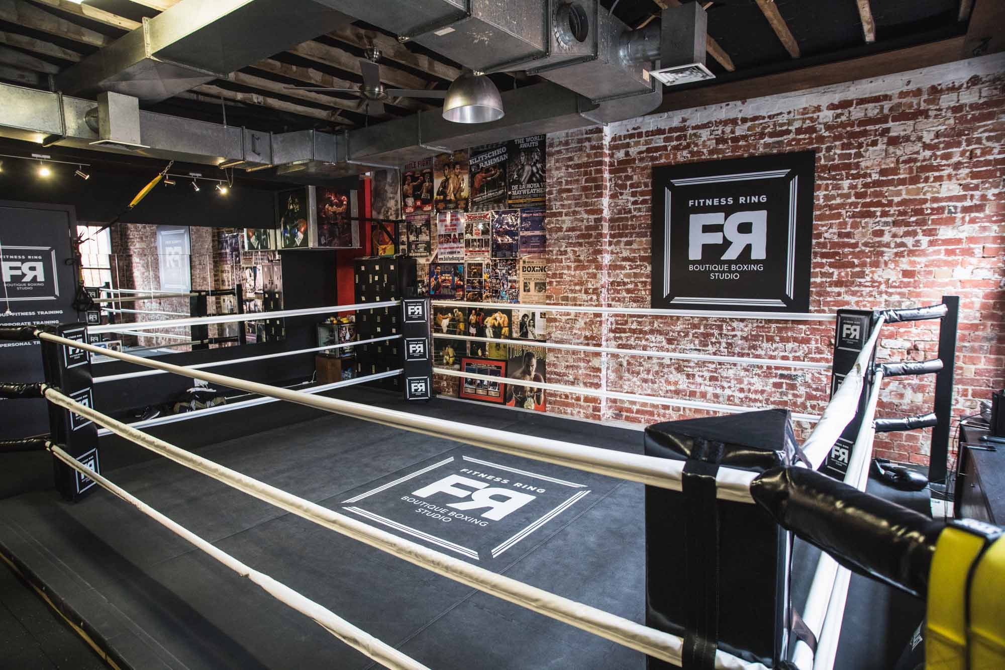 The+fitness+RinG.jpg