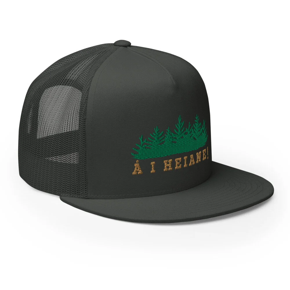 5-panel-trucker-cap-charcoal-right-front-610920afb0c21.jpg