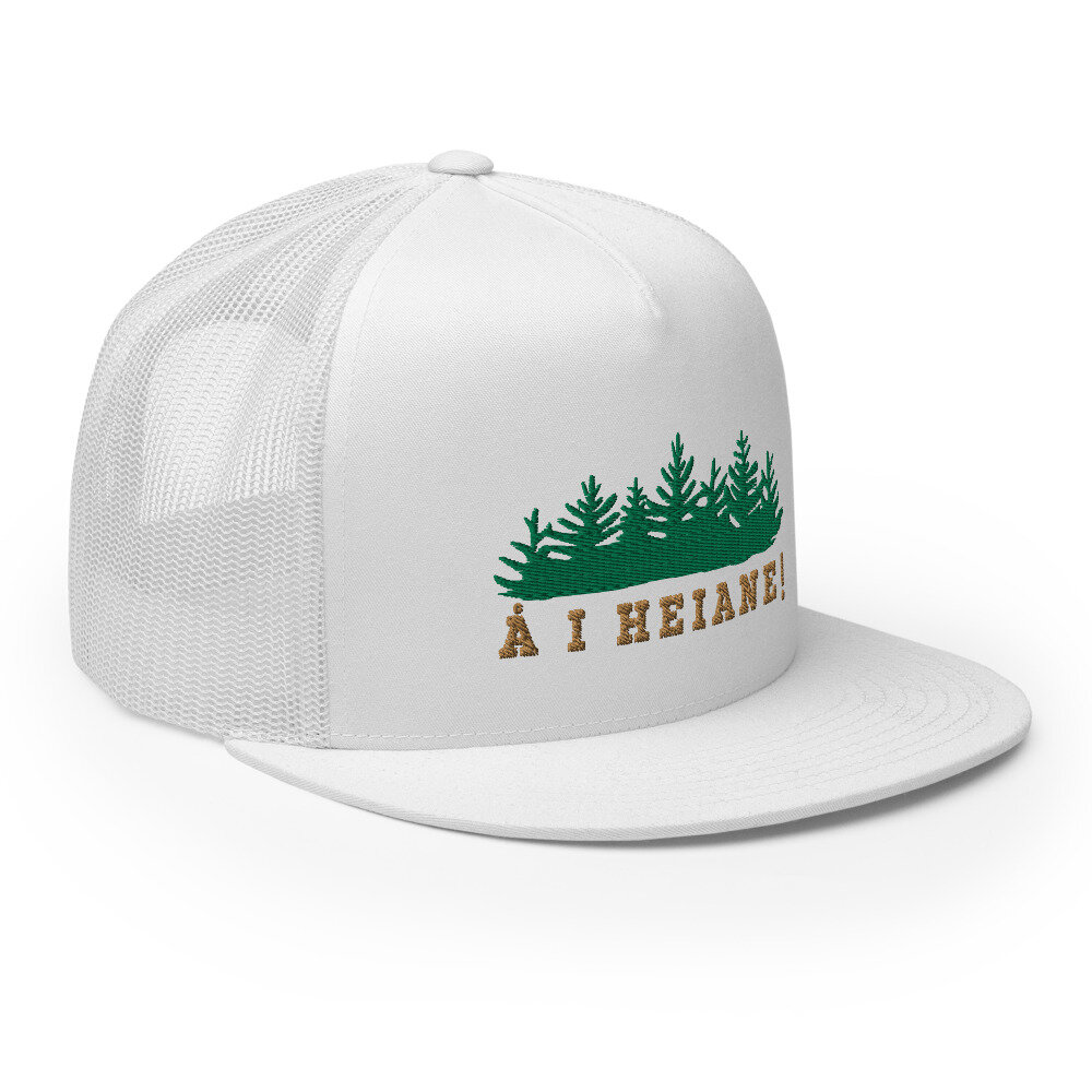 5-panel-trucker-cap-white-right-front-610920afb0e6a.jpg