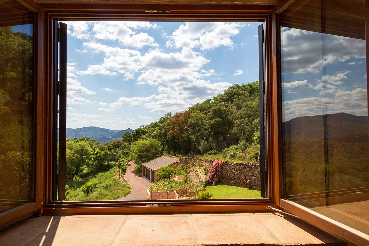window-views.jpg