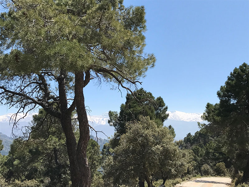 Views of the Sierra Nevada Mountains from Sierra de Huetor