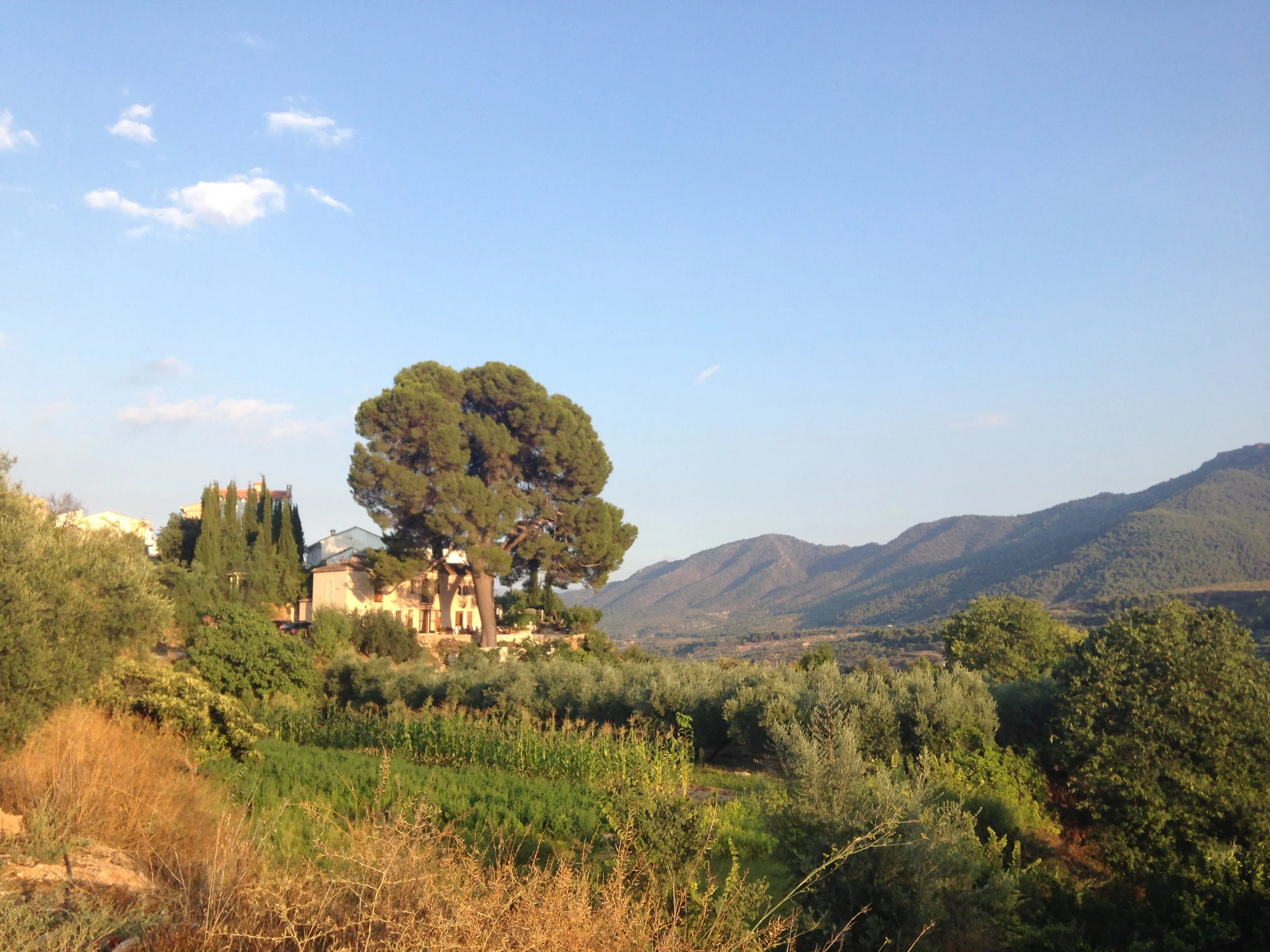 Cortijo del Pino.jpg