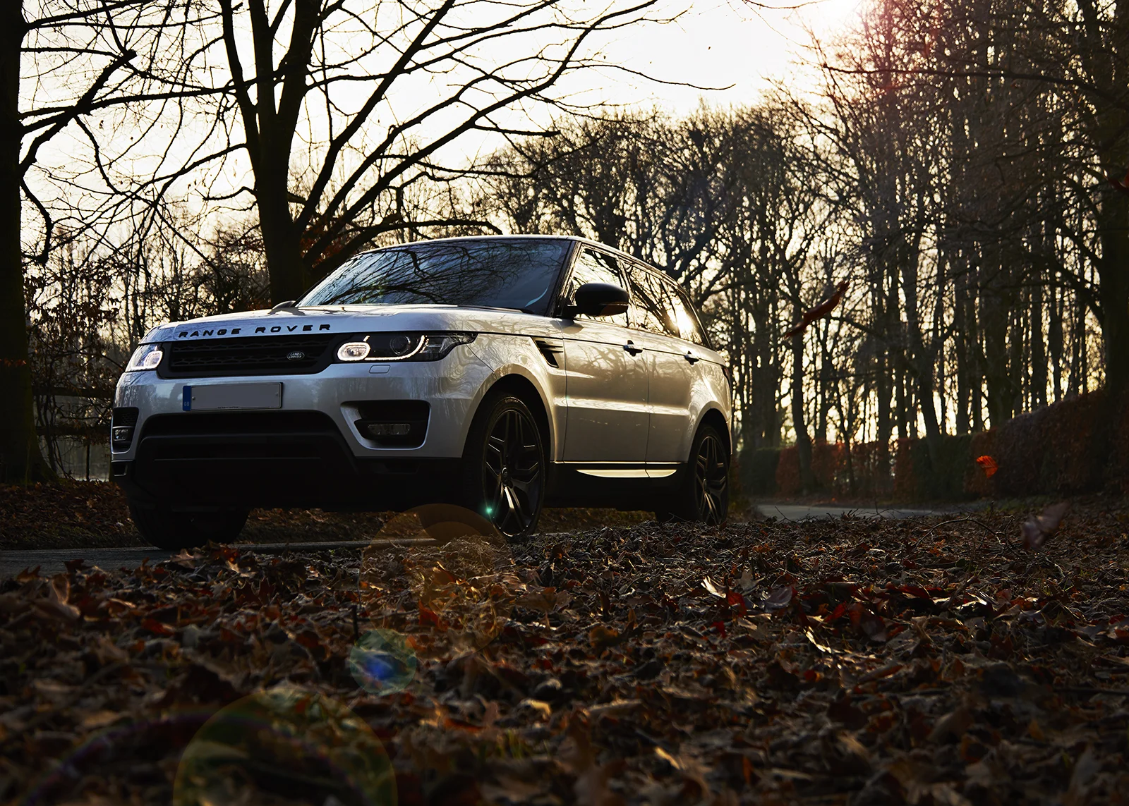 Autumn Leaves and Mud_1811.jpg