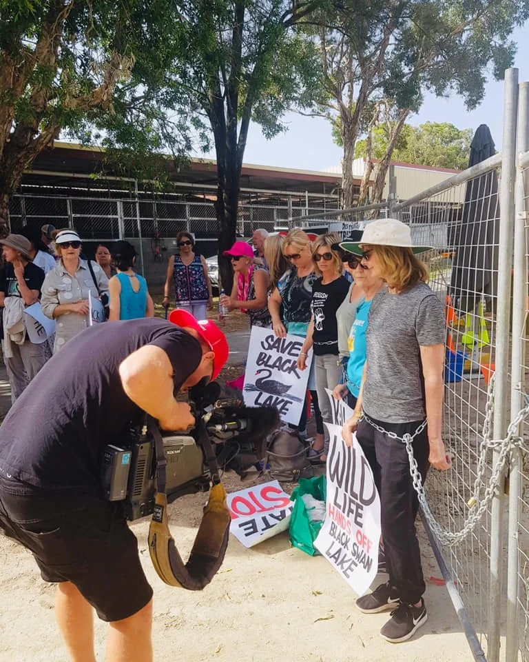 Activists chain themselves to fence in an effort to save Black Swan Lake in Queensland