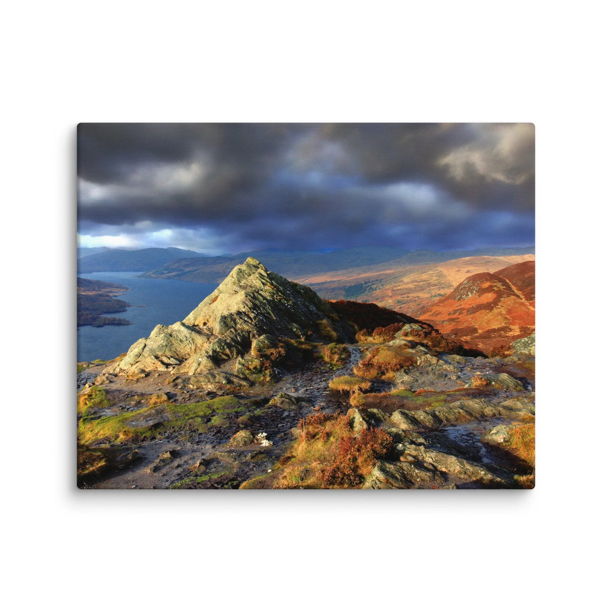 canvas-(in)-16x20-wall-67cae61a603c1.jpg