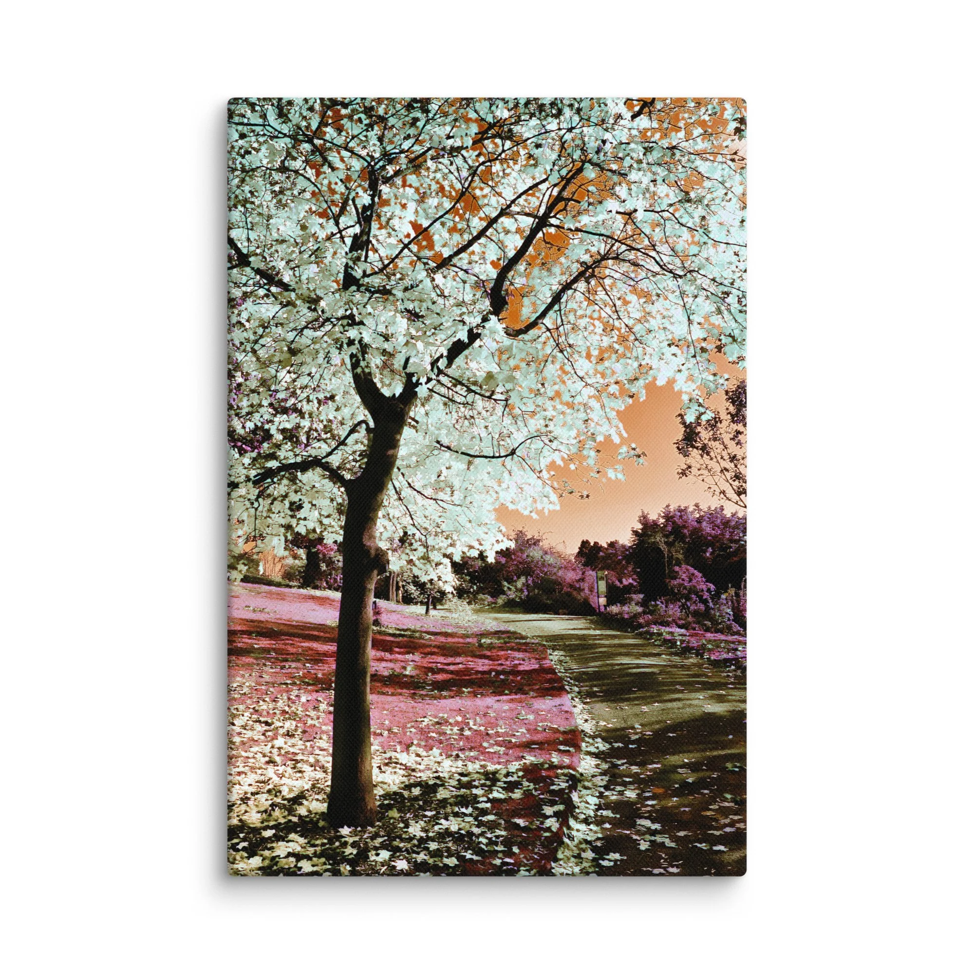 canvas-(in)-8x12-wall-67cae8dc03701.jpg