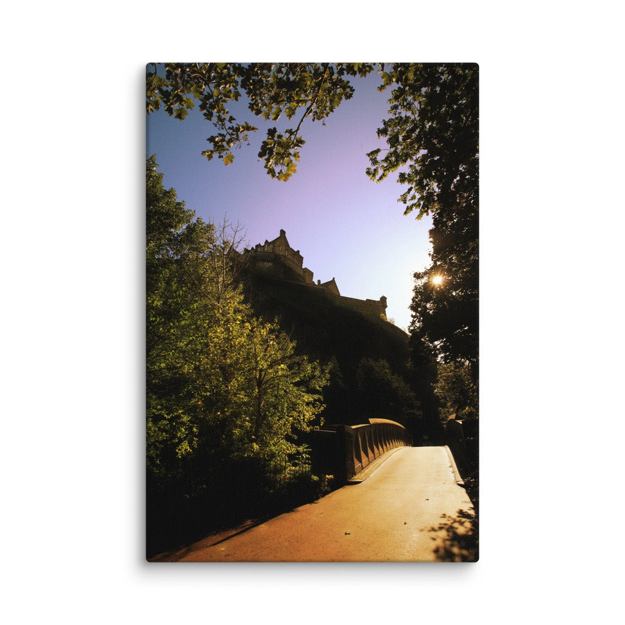 canvas-(in)-8x12-wall-67d55d88e74fb.jpg
