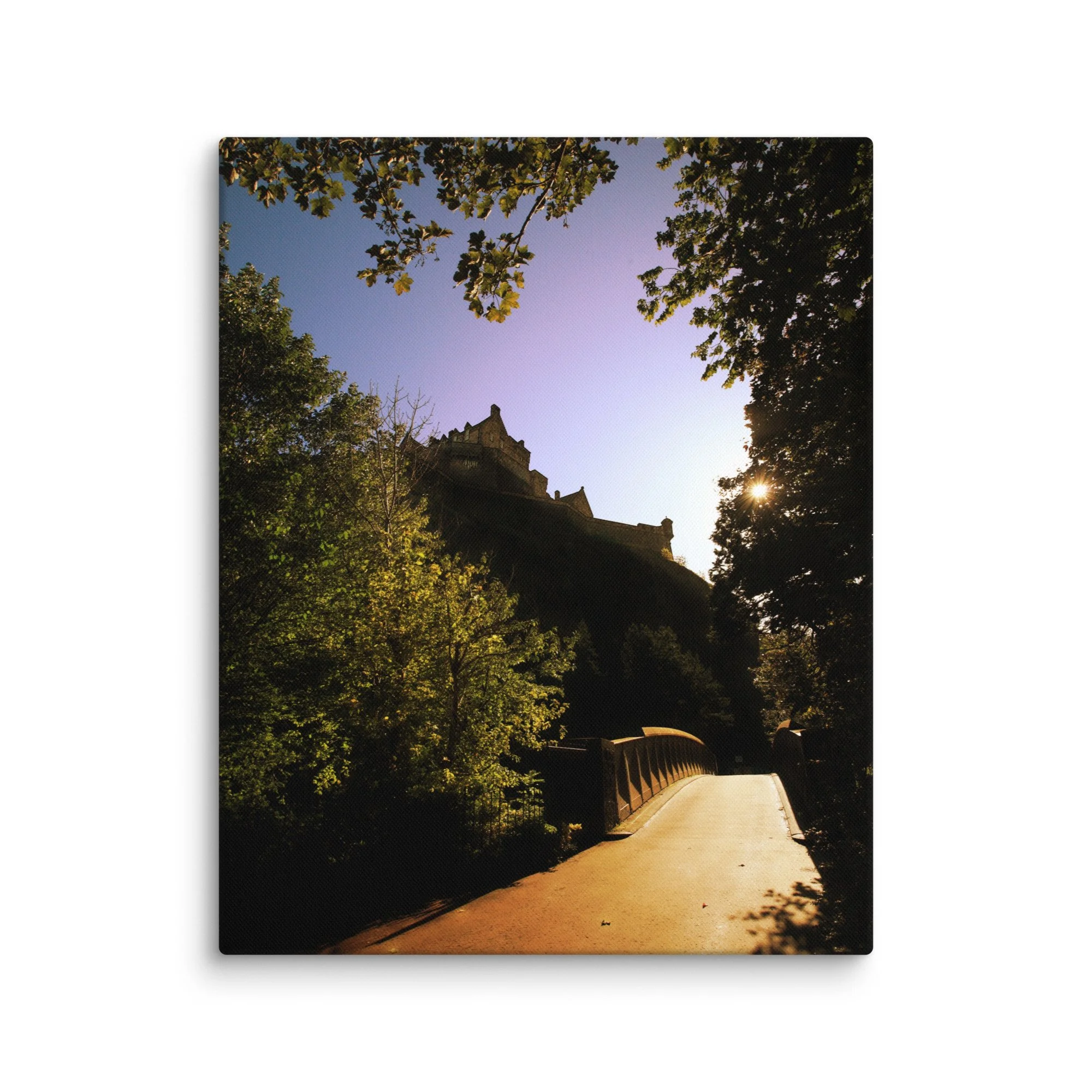 canvas-(in)-16x20-wall-67d55d88e766a.jpg