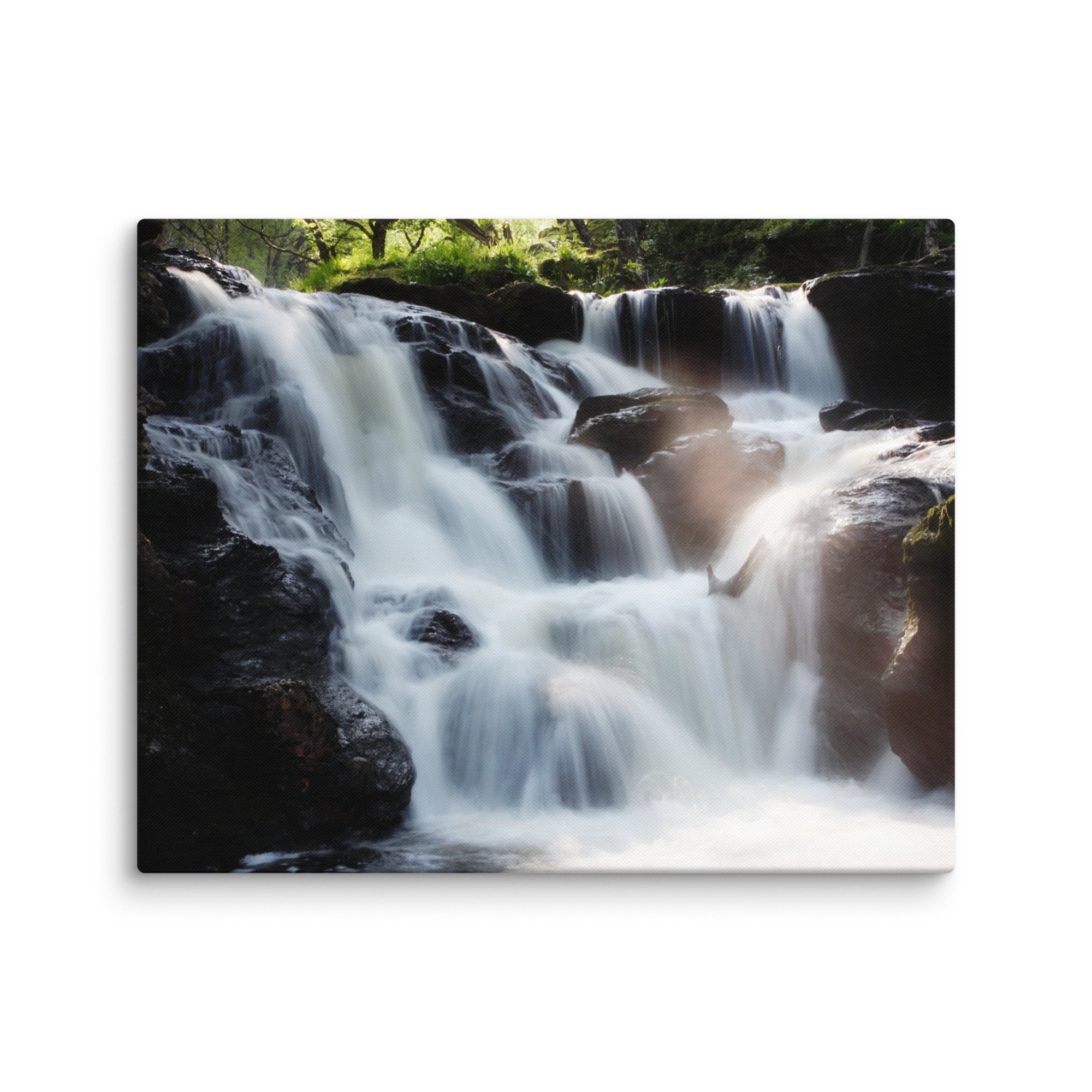 canvas-(in)-16x20-wall-67dc14d75e0ee.jpg