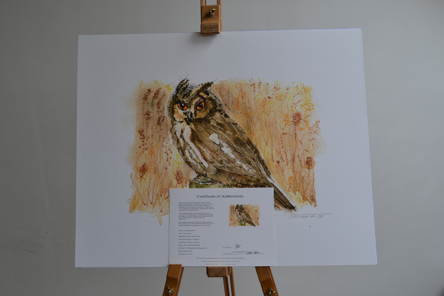 Long Eared Owl on Easel with certificate