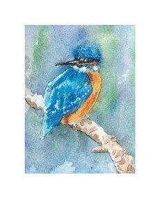 Kingfisher
