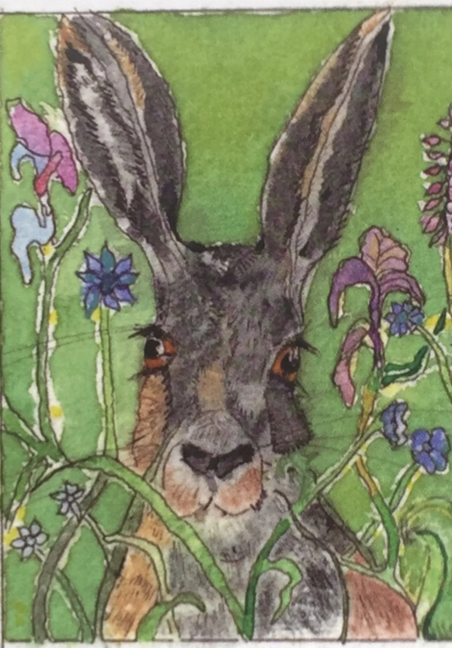 Green Hare