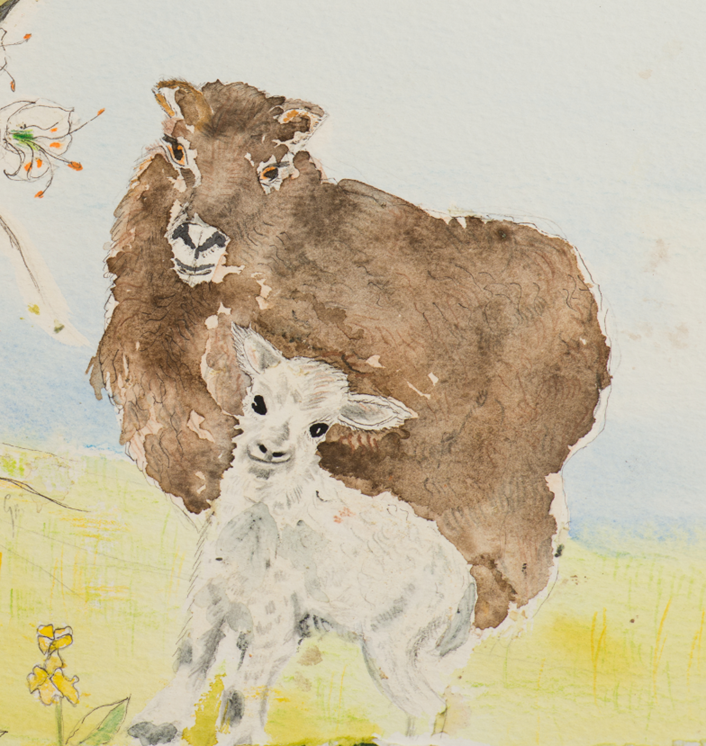 Sheep in field-detail2.jpeg