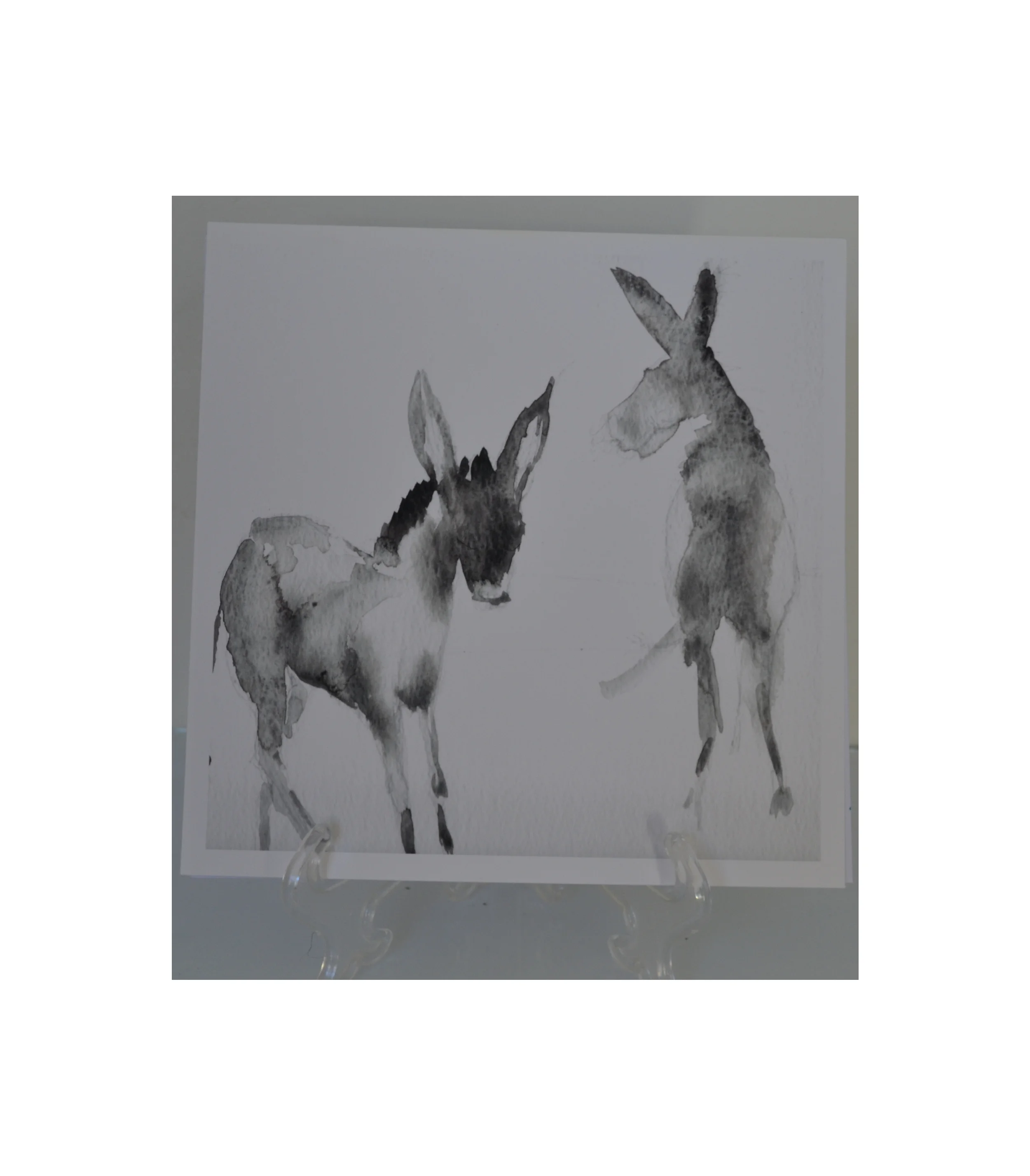 Donkeys-1.jpg