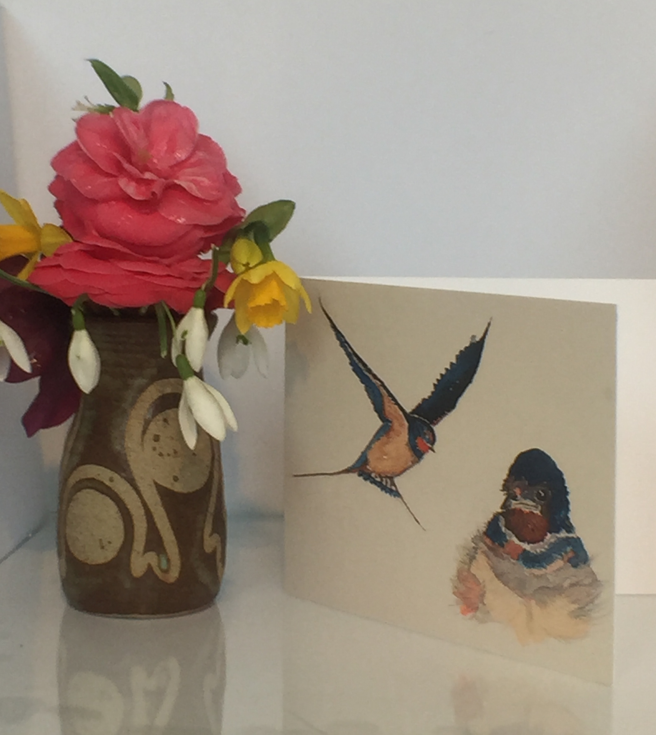 Swallow and Fledgling