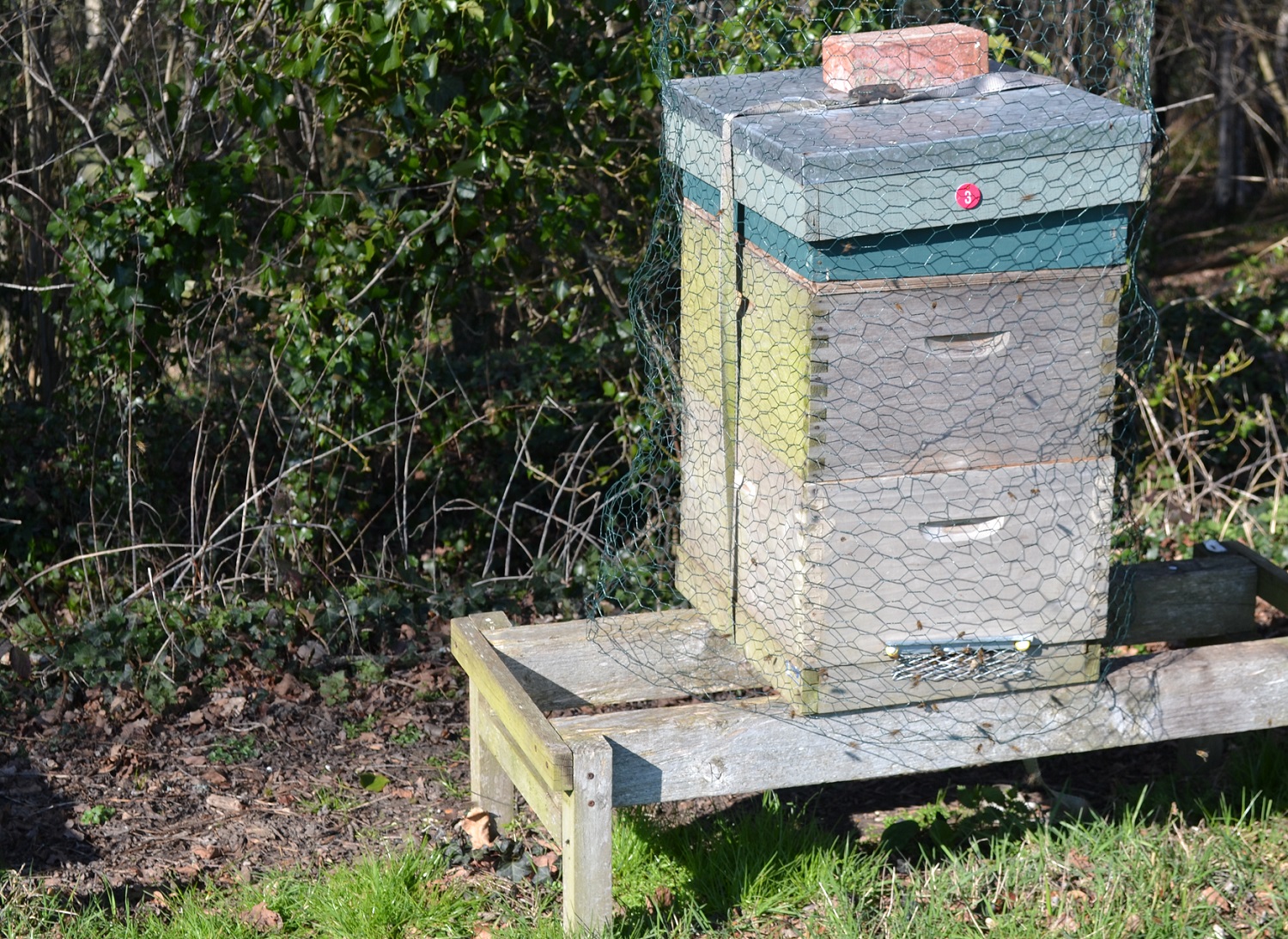 Bee Hive