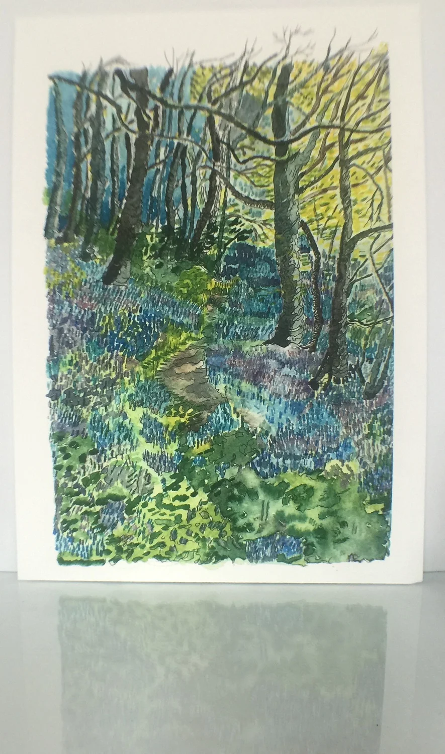 Bluebellwood-1.jpg