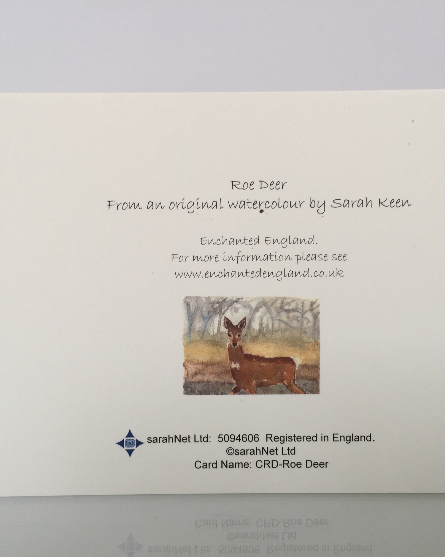 Roe deer