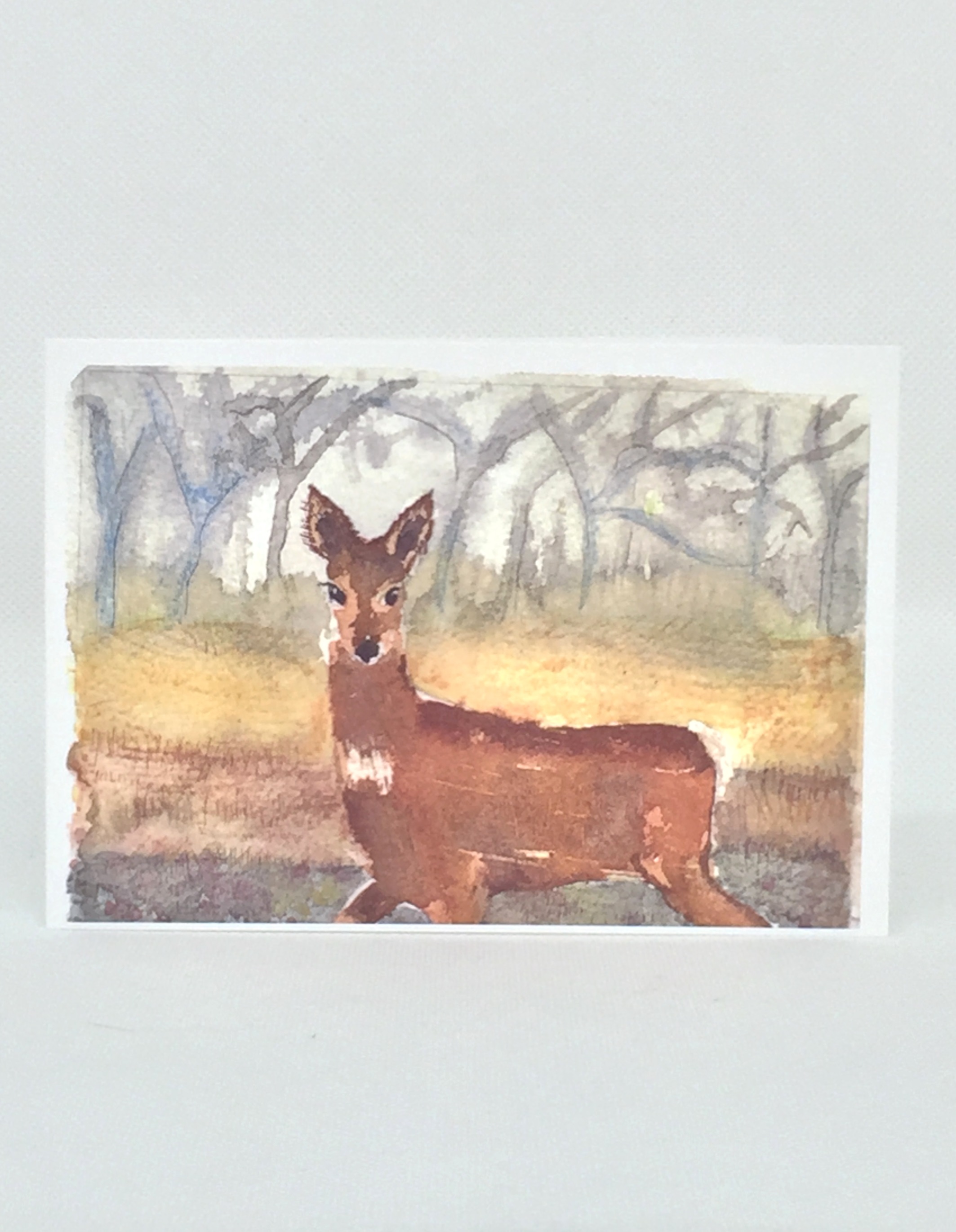 Deer-1.jpg