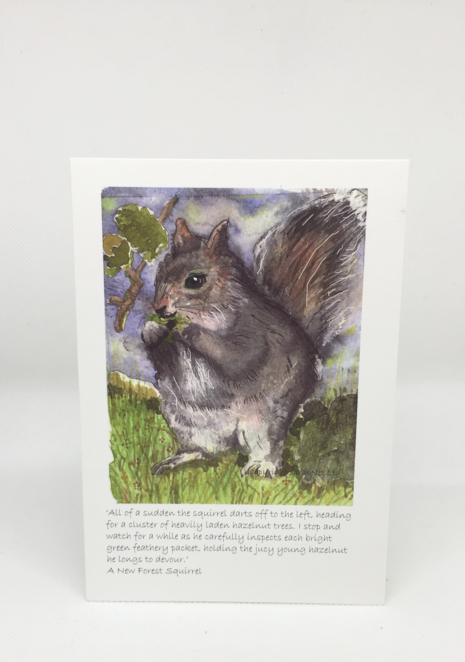 Card A6 - Squirrel