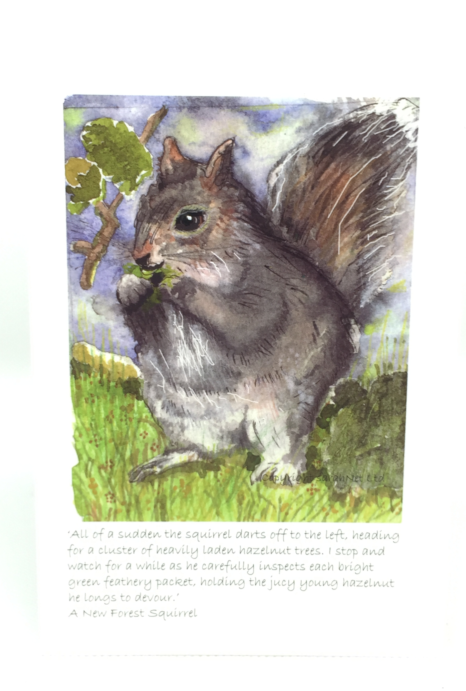 Card A6 - Squirrel