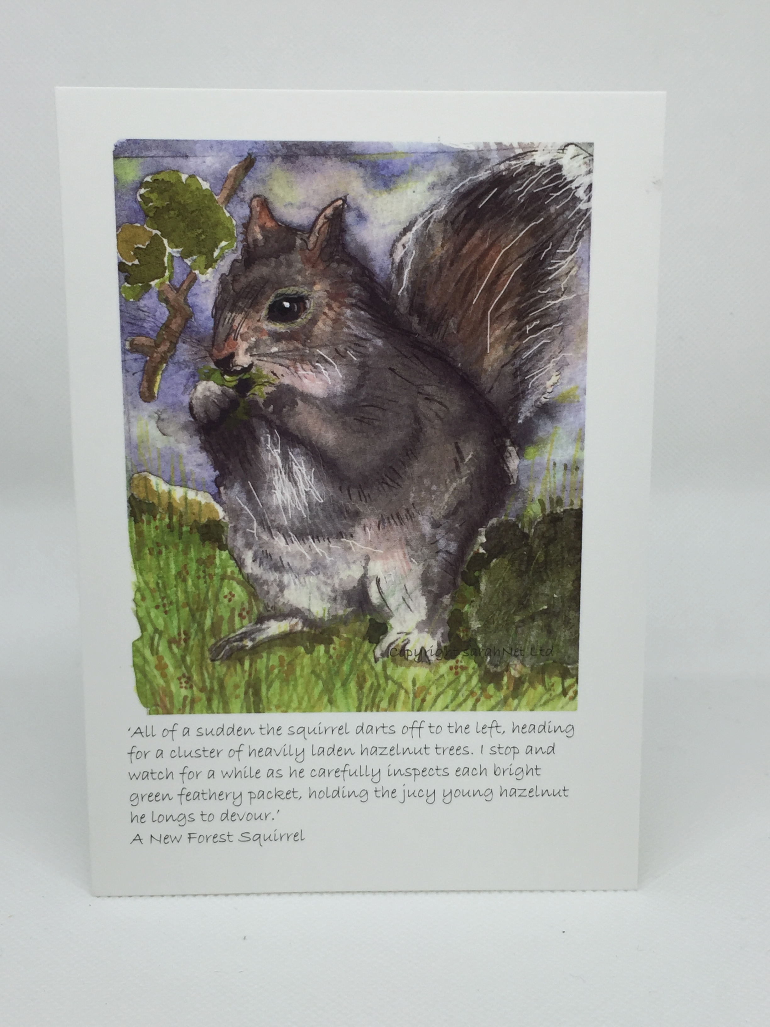 Card A6 - Squirrel