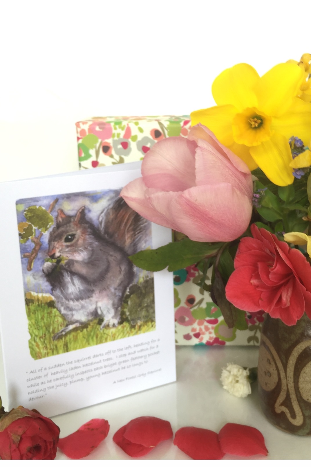 Squirrel - gift