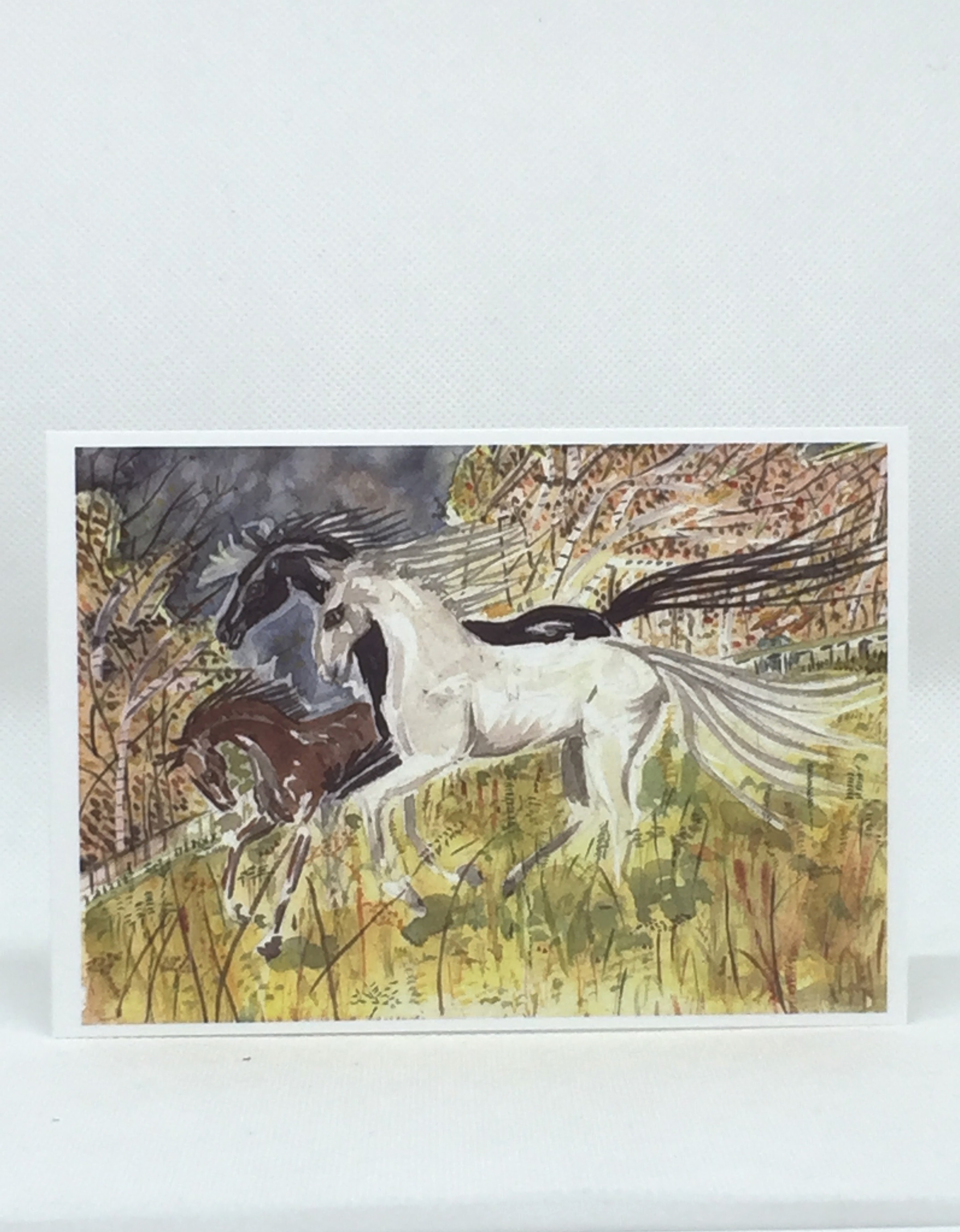 Horses in field