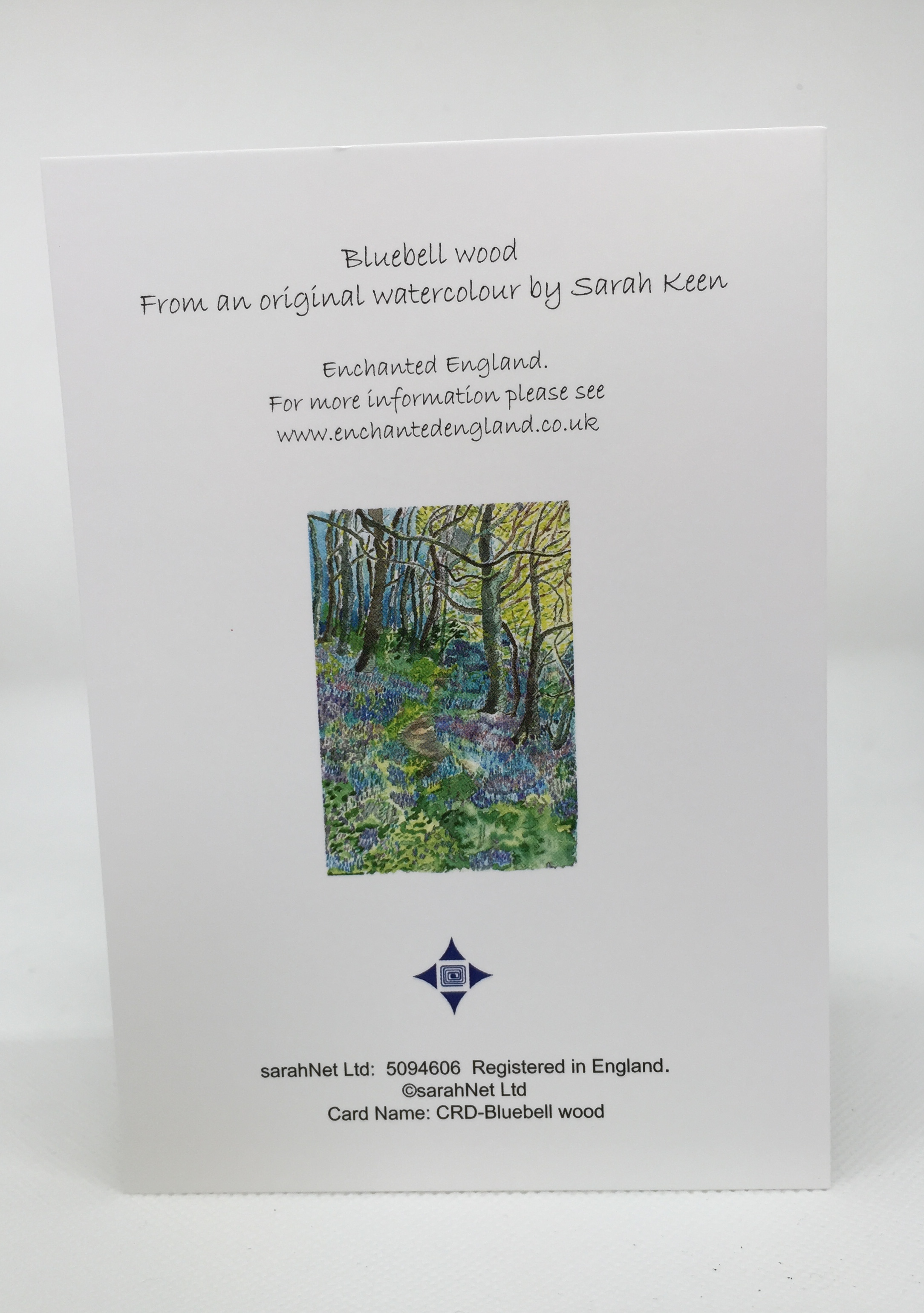 Bluebell woods - reverse