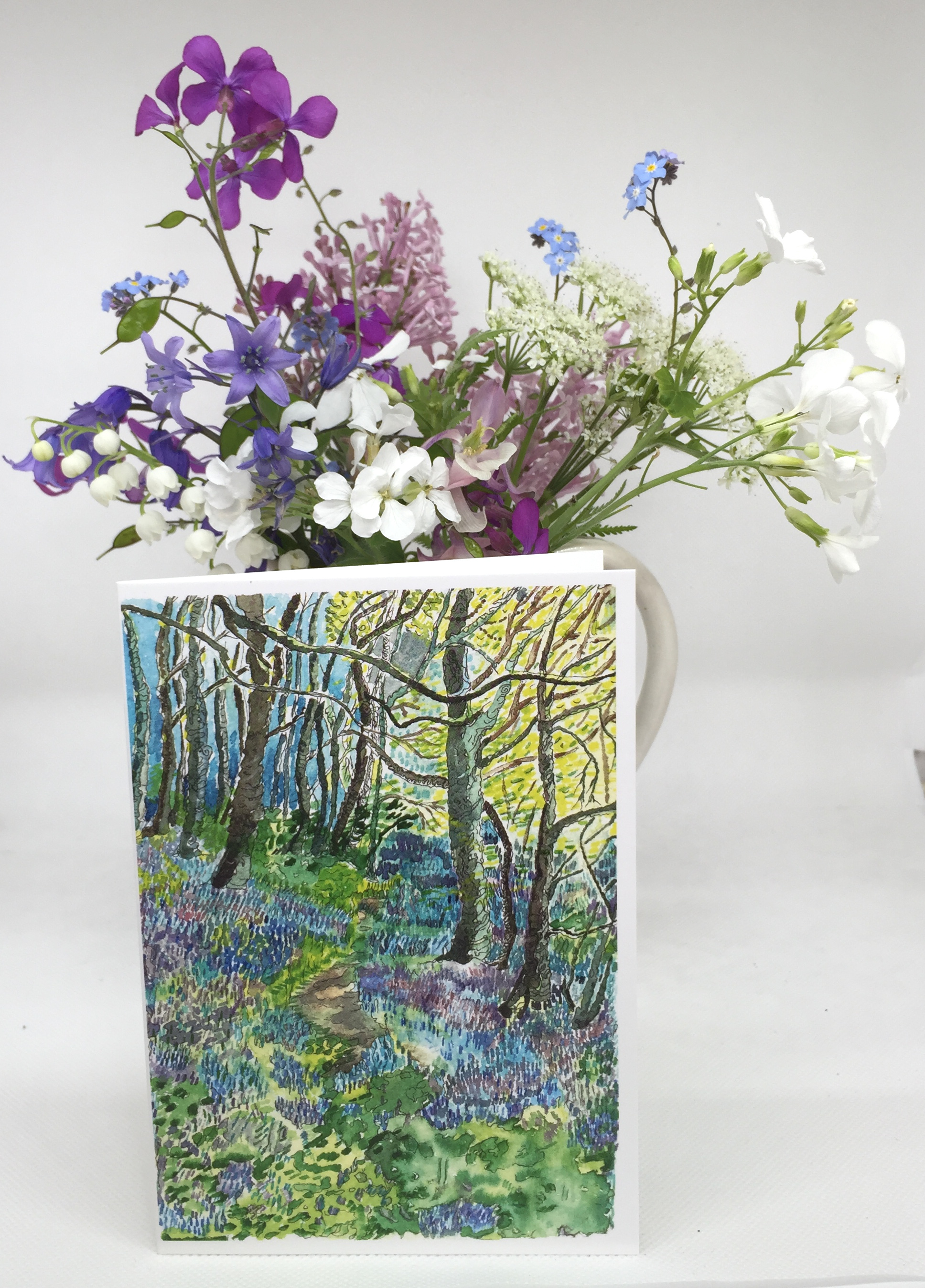 Bluebell Woods