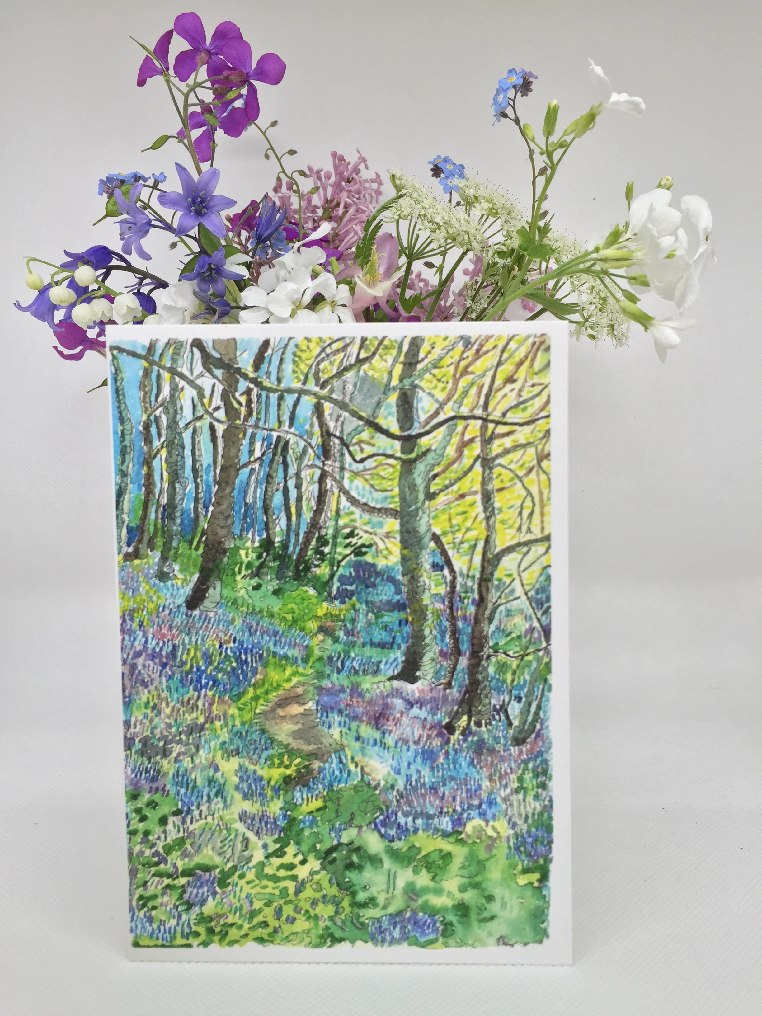 Bluebell woods