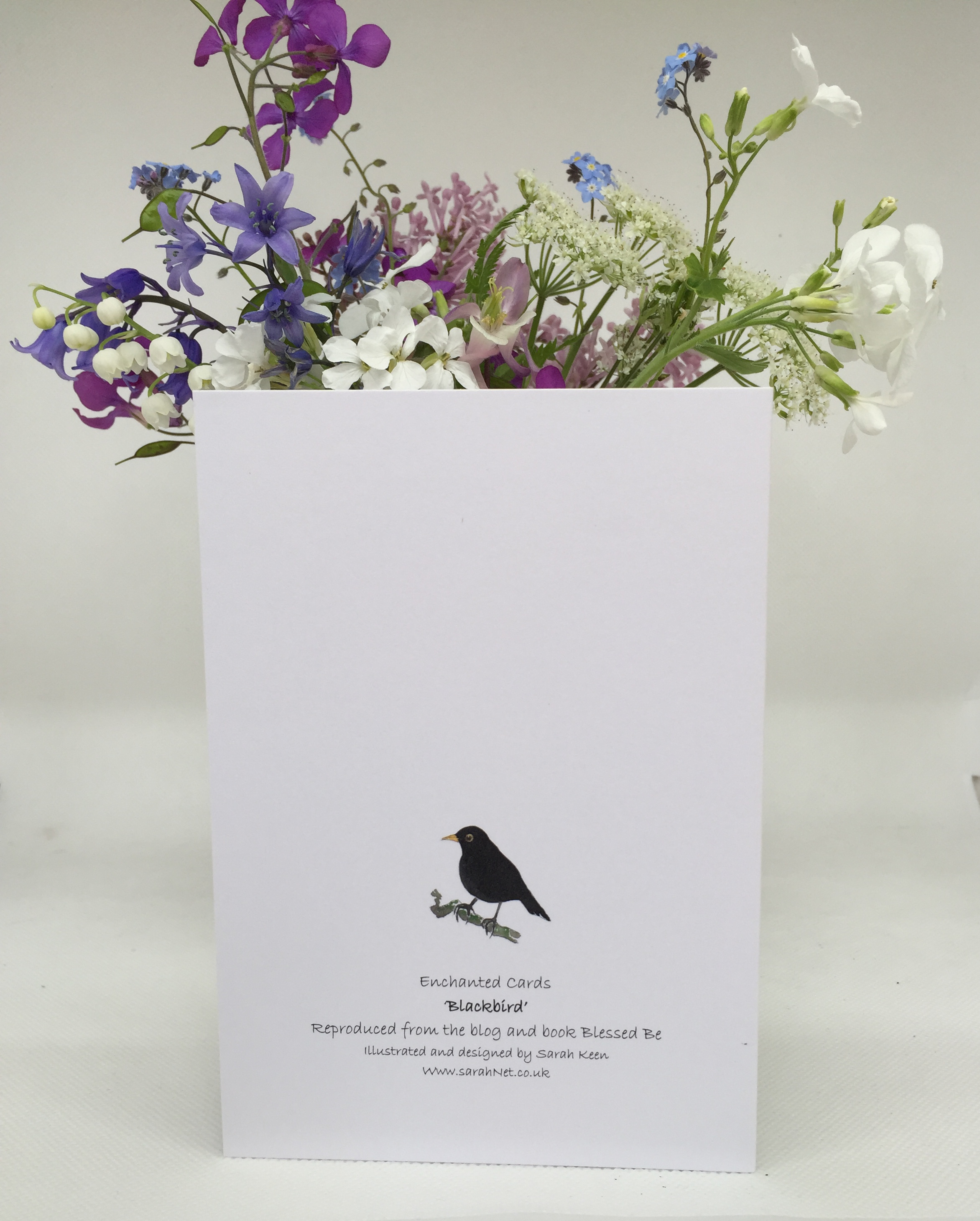 Blackbird