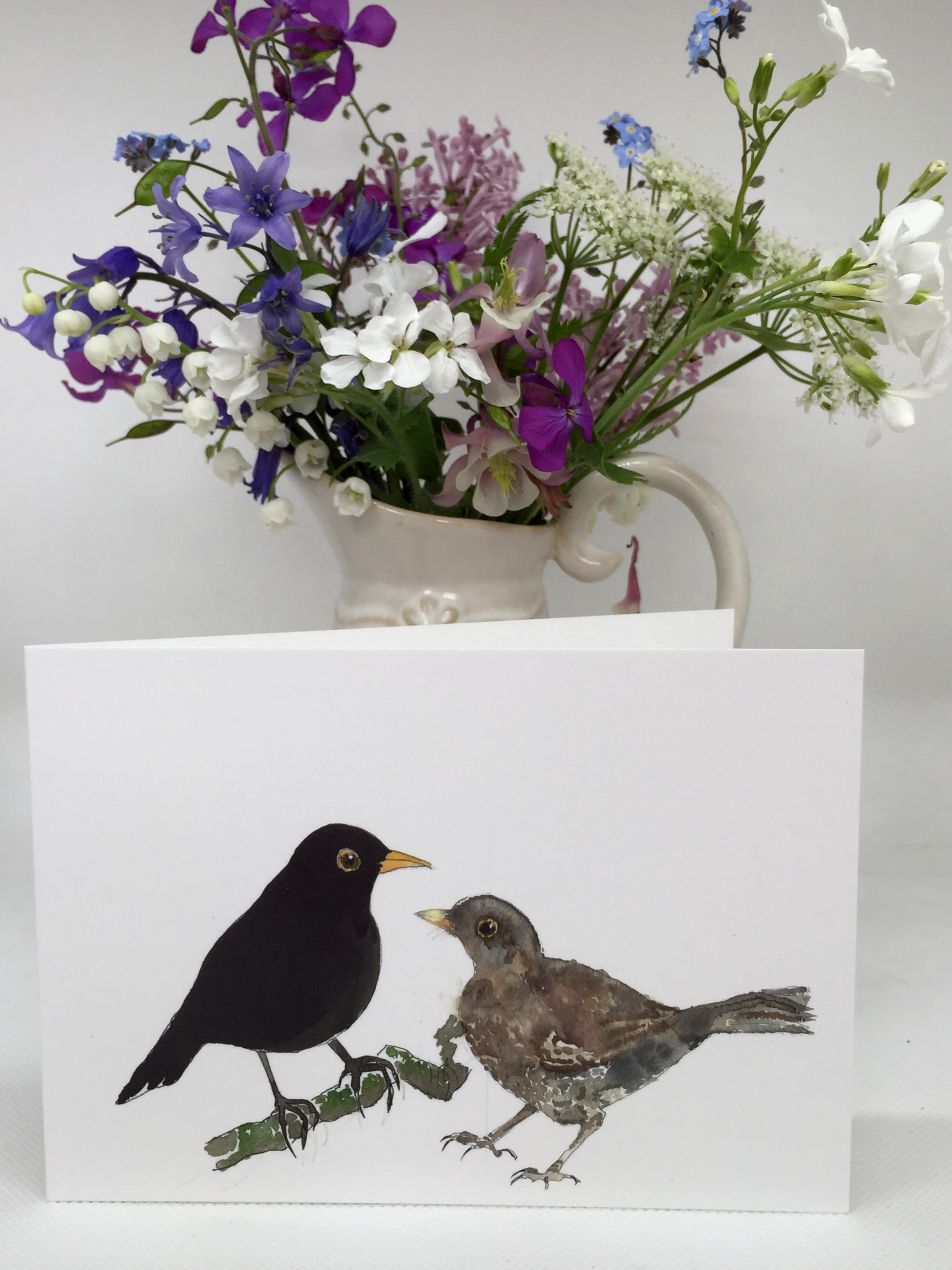 Blackbirds - Pair